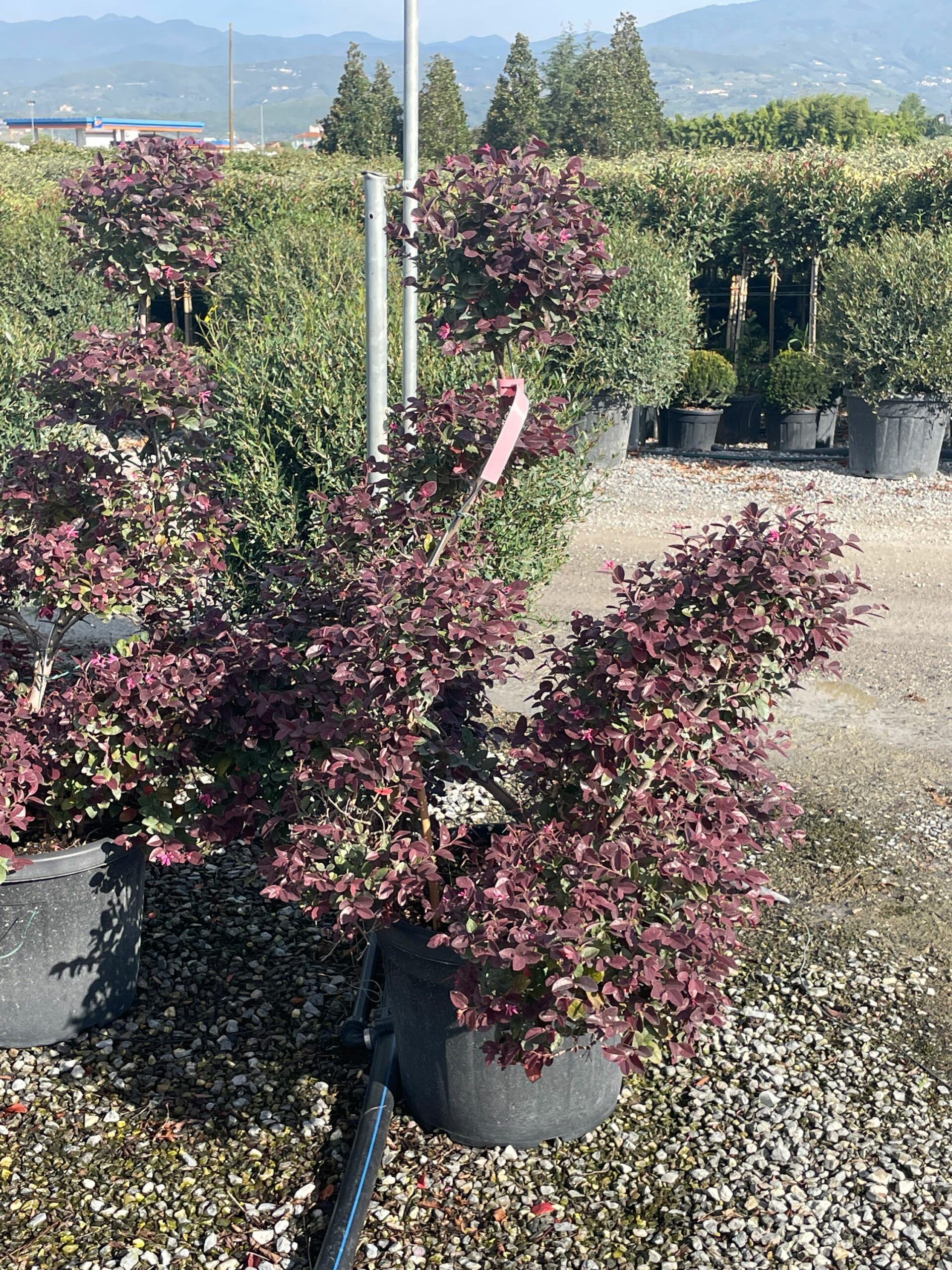 1695888066 scaled 40d0837c