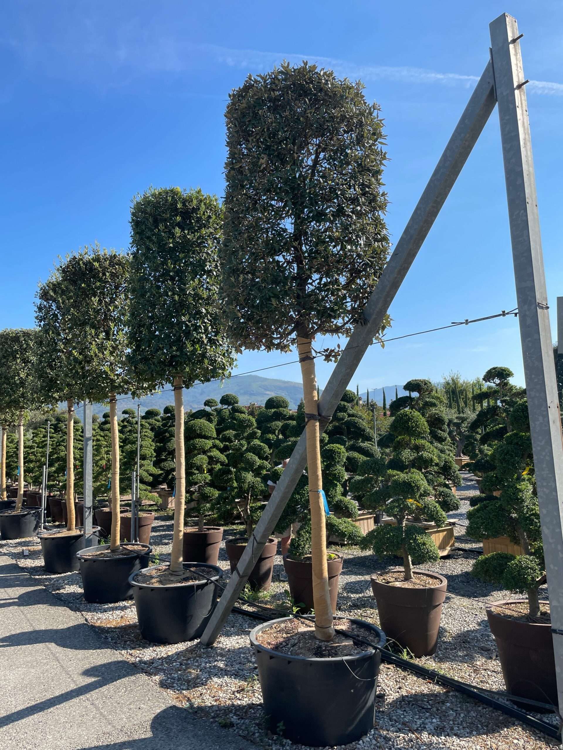 1631001883 scaled 41b6920f