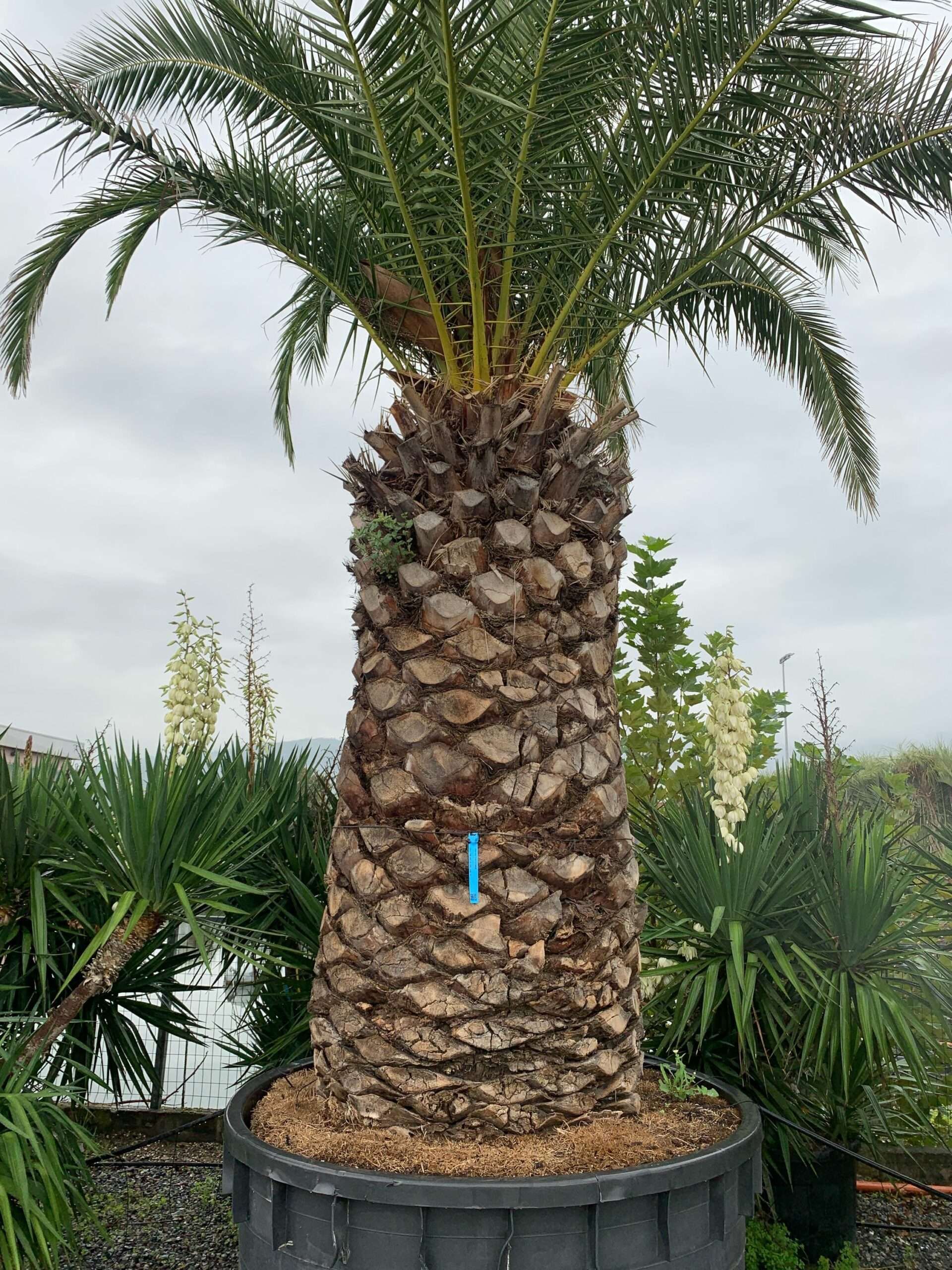 1633338668 scaled 417aeb30