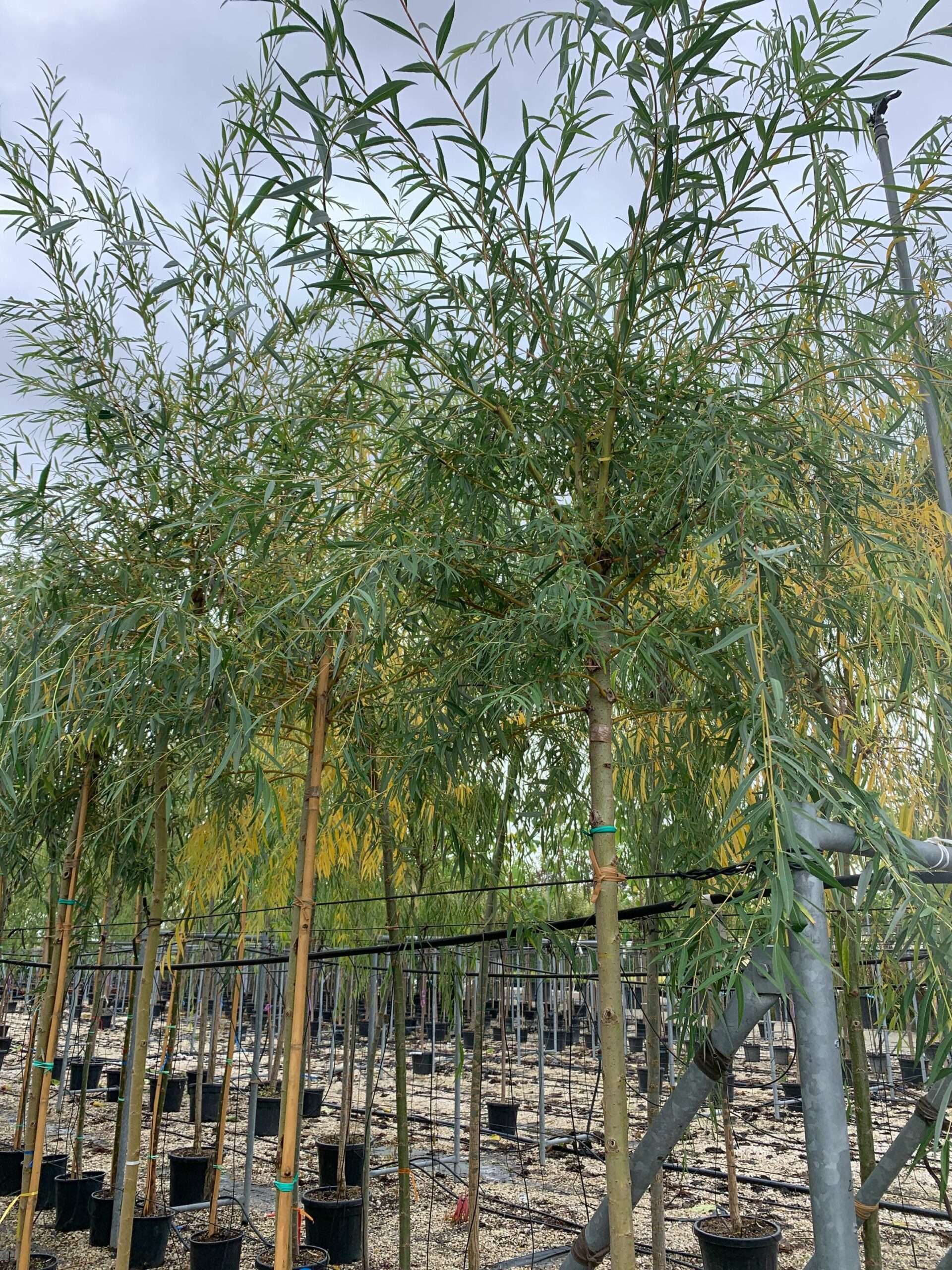 1633423553 scaled 412f2060