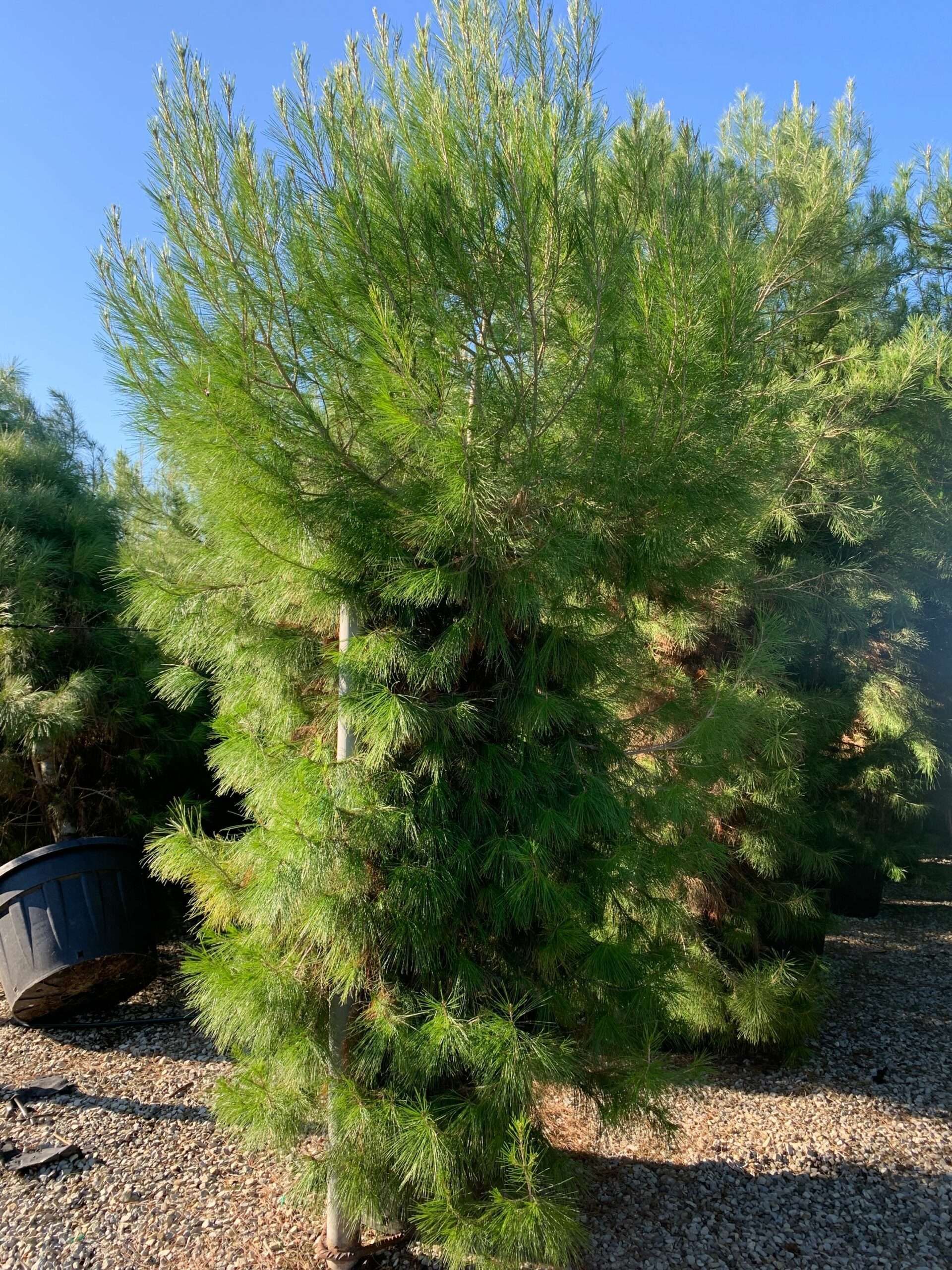 1637747148 scaled 411dacc4