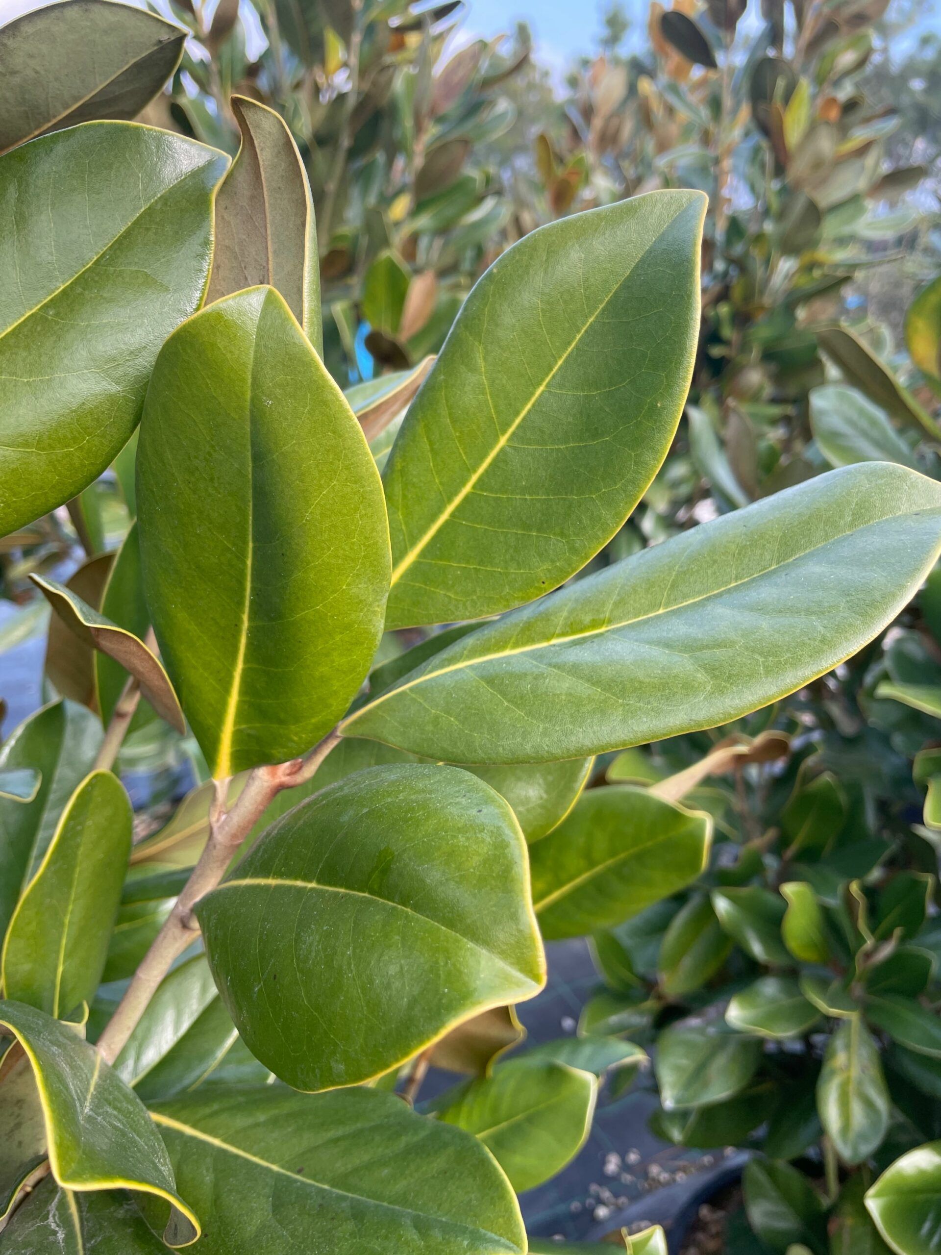 1643281635 scaled 41e23a07