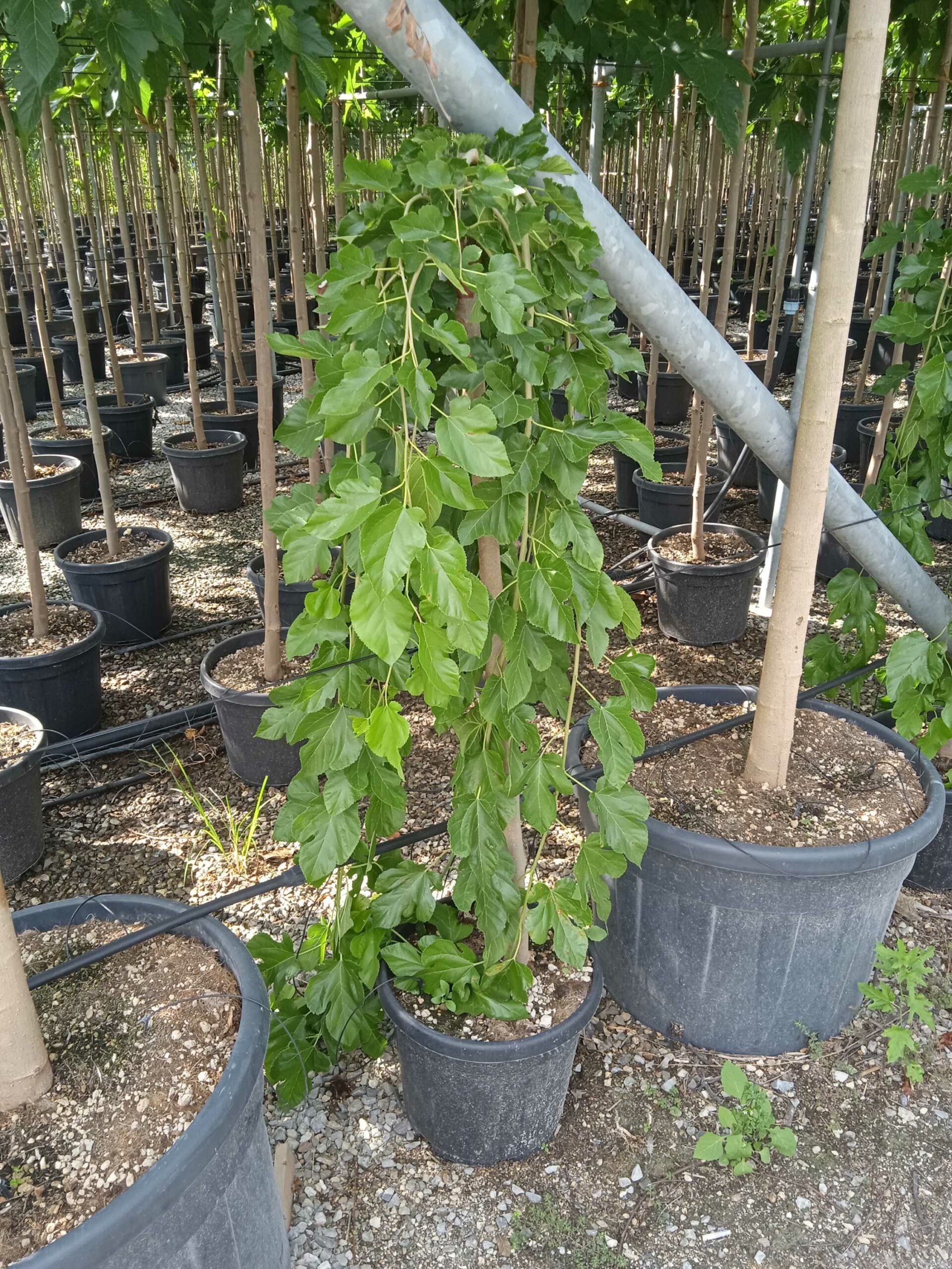 1662040036 scaled 41a3553e