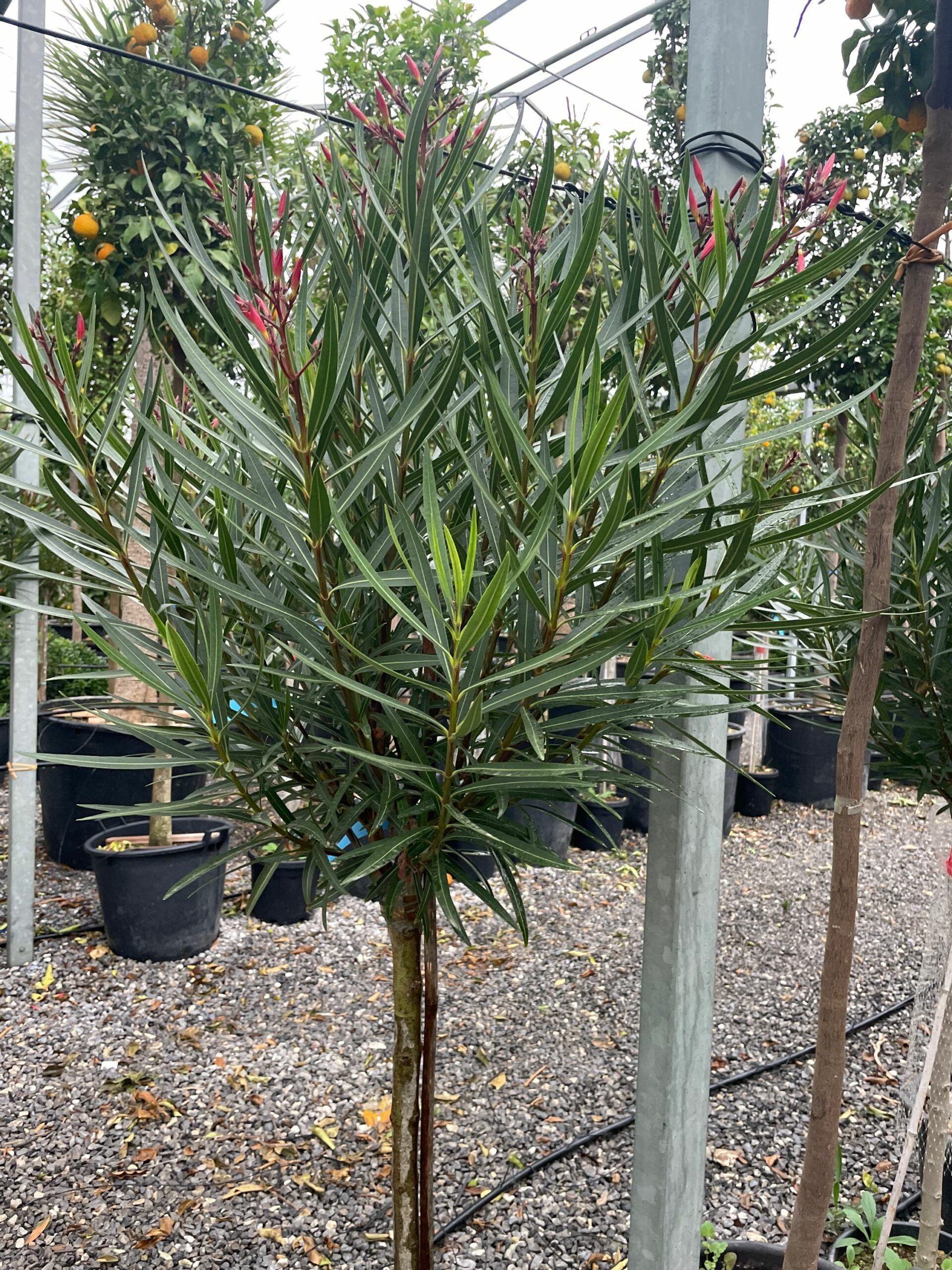 1670576823 scaled 41aca078