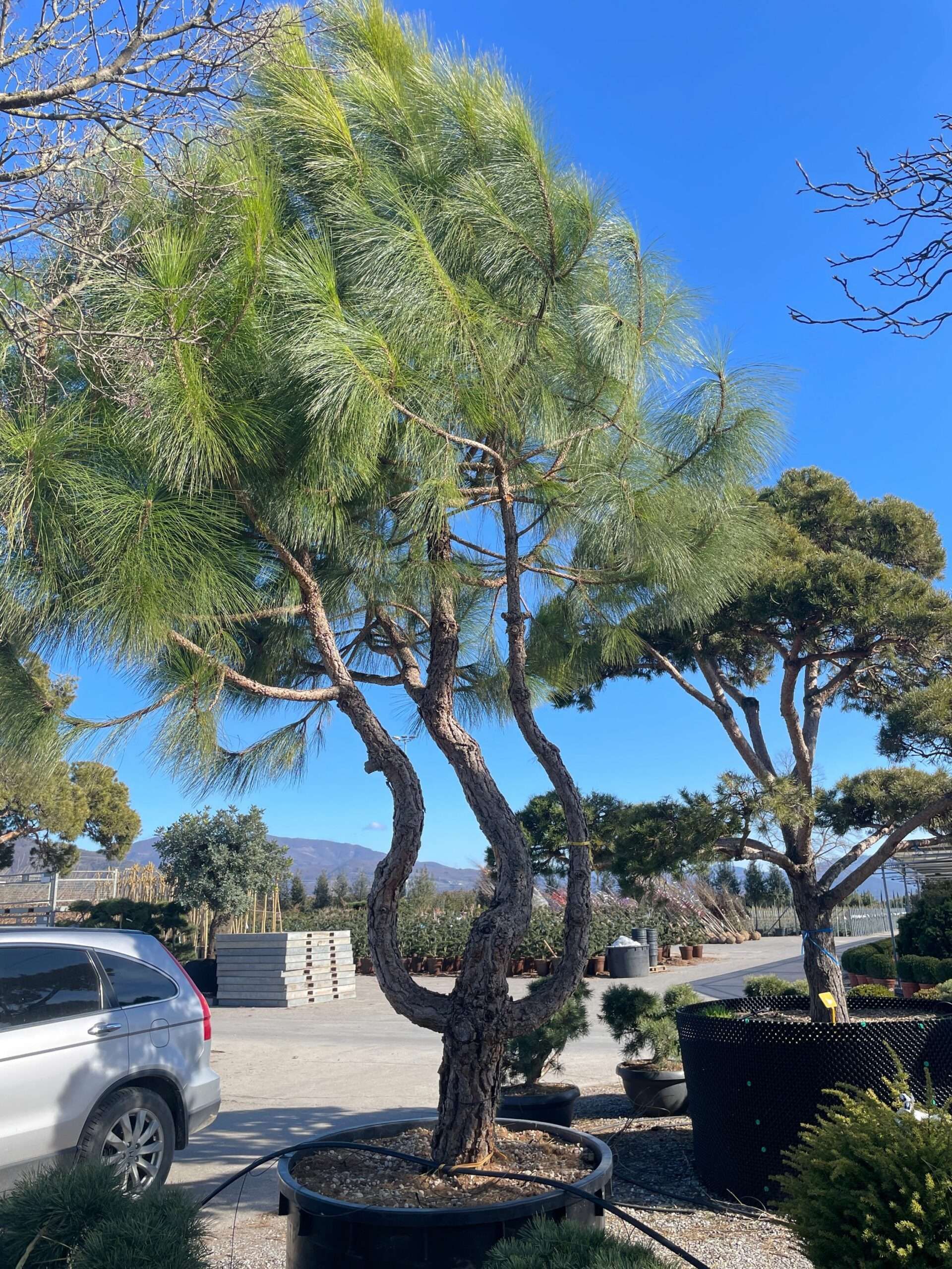 1675683435 scaled 41f22220