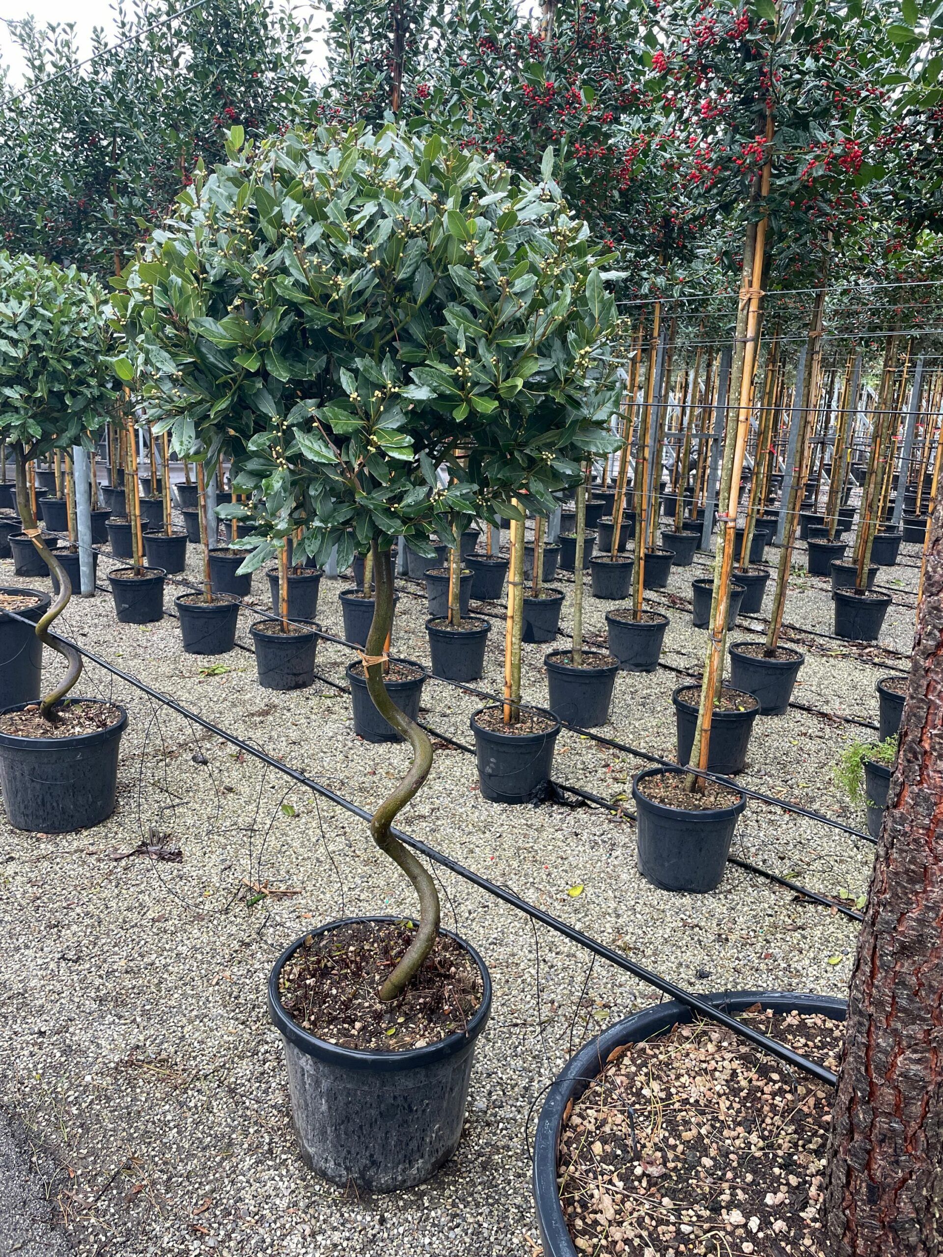 1677400178 scaled 41140c01