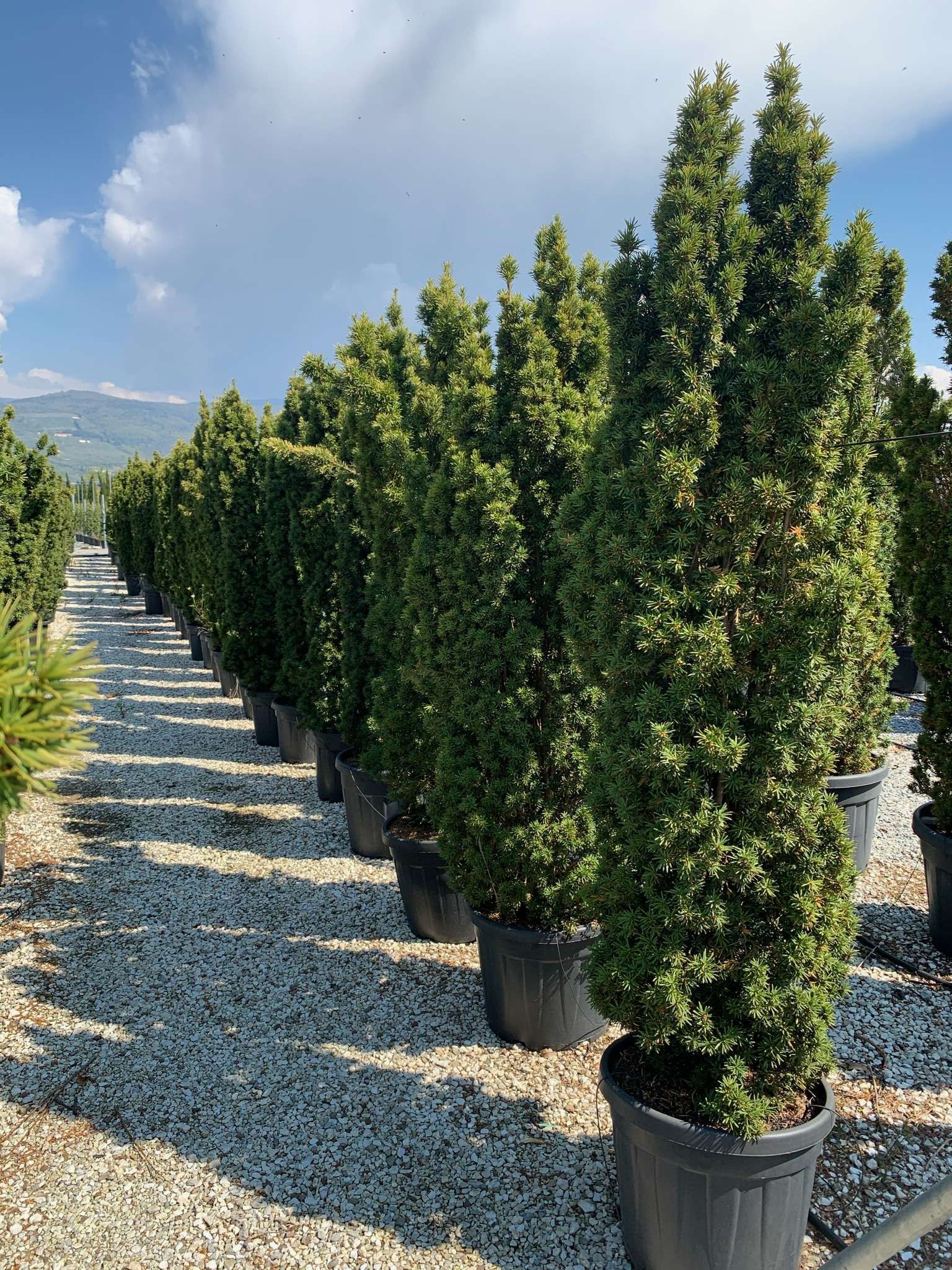 1618930616 0104bb08dcfac572d6ccbfb81d1e95a95f1e4d09ab 424b6ca9