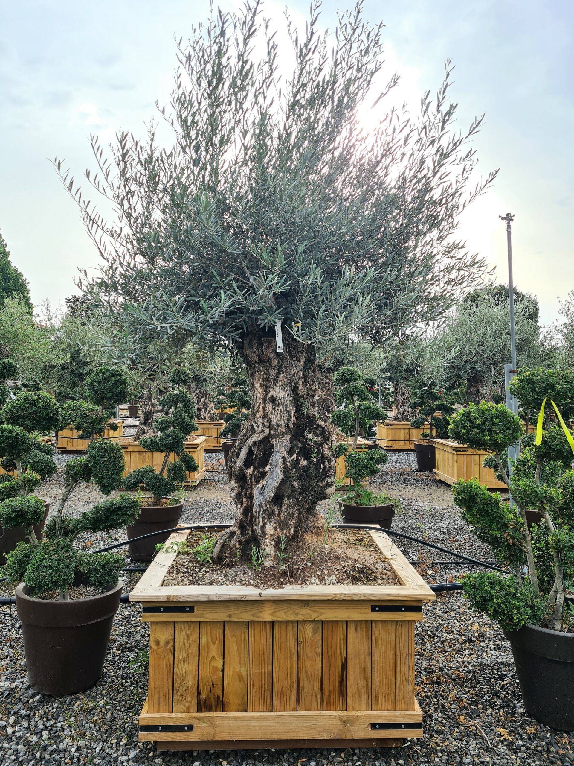 1631781373 24 scaled 424127b2