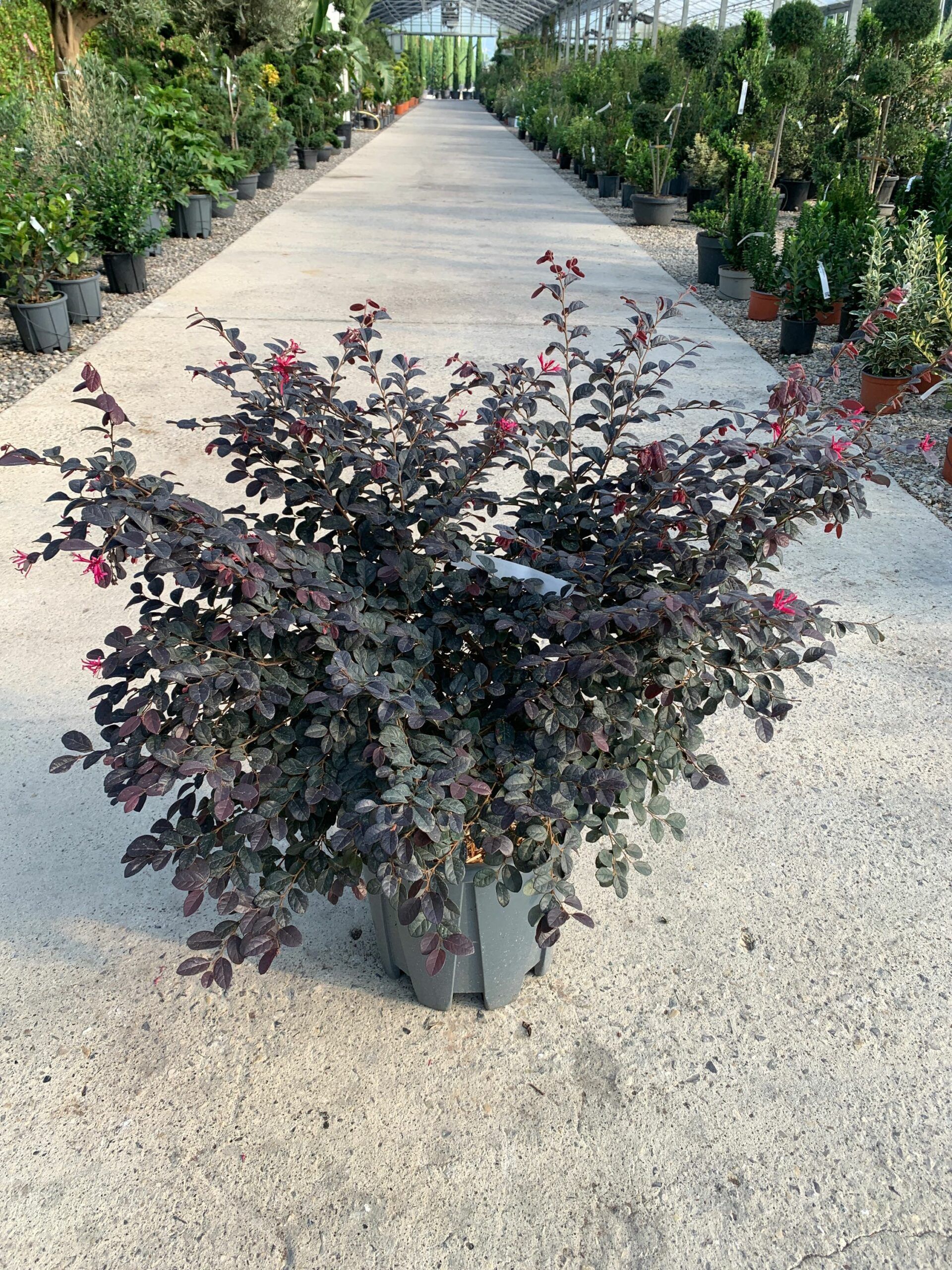 1632814659 scaled 42005f04