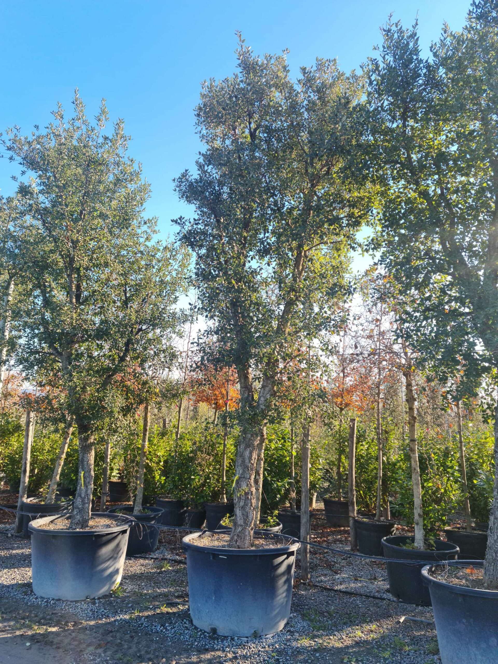 1639731579 scaled 424a9bca