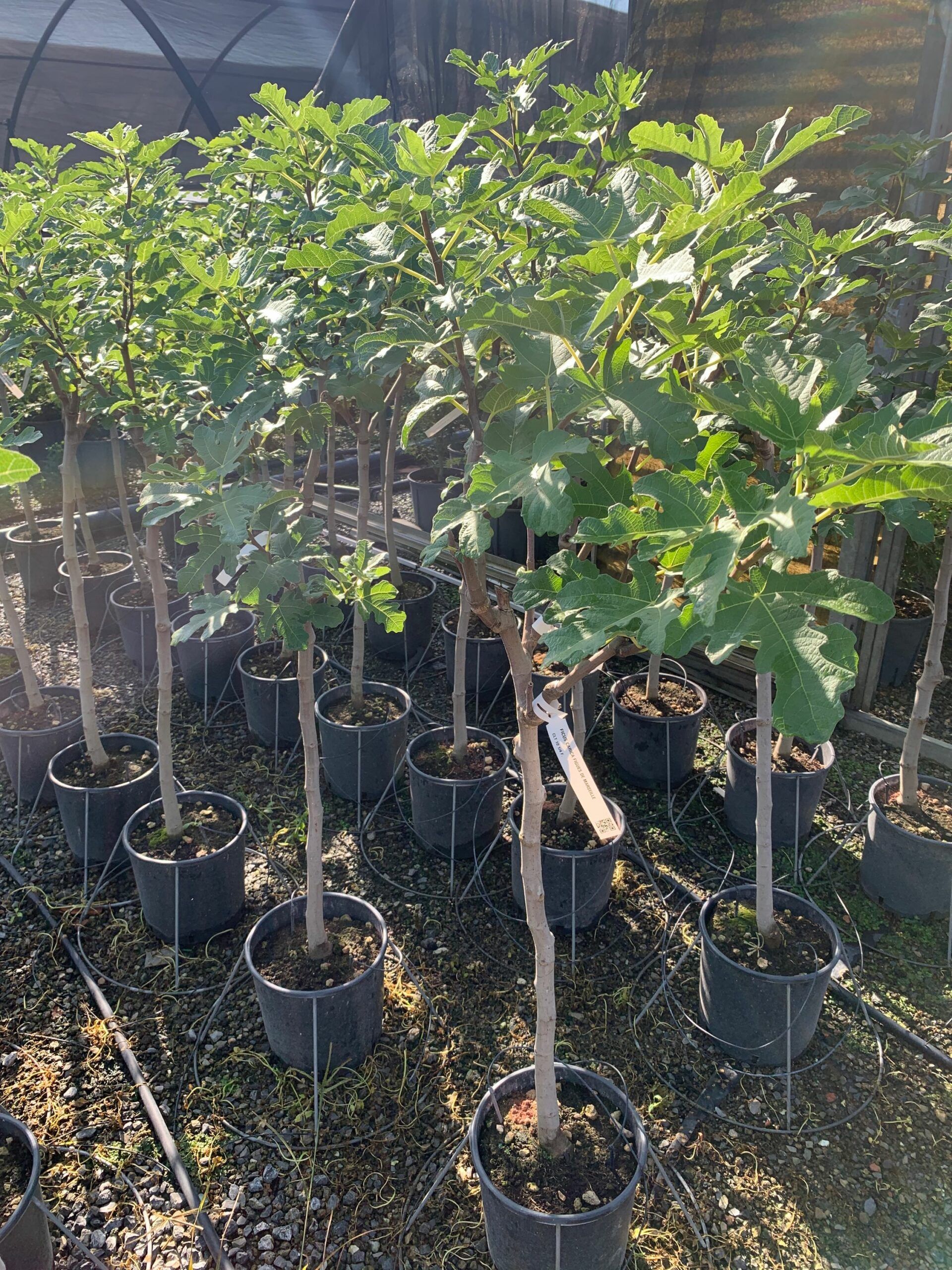 1662362665 scaled 420a84a0