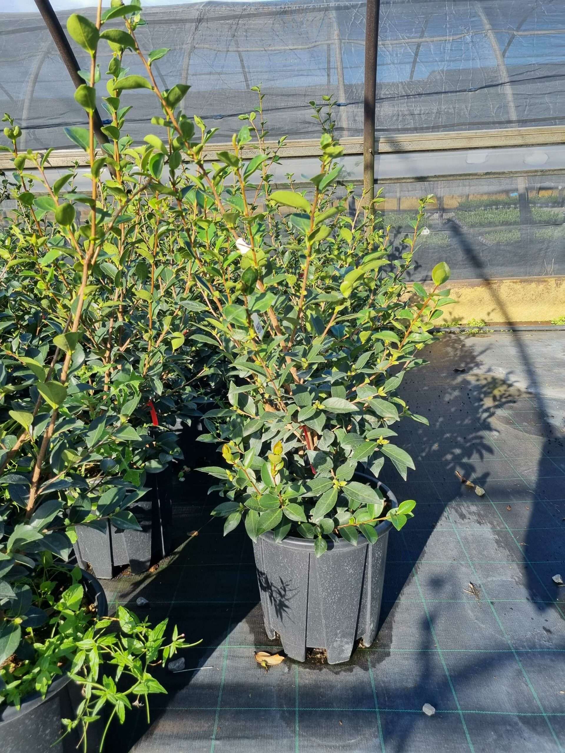 1663572886 scaled 42ab9856