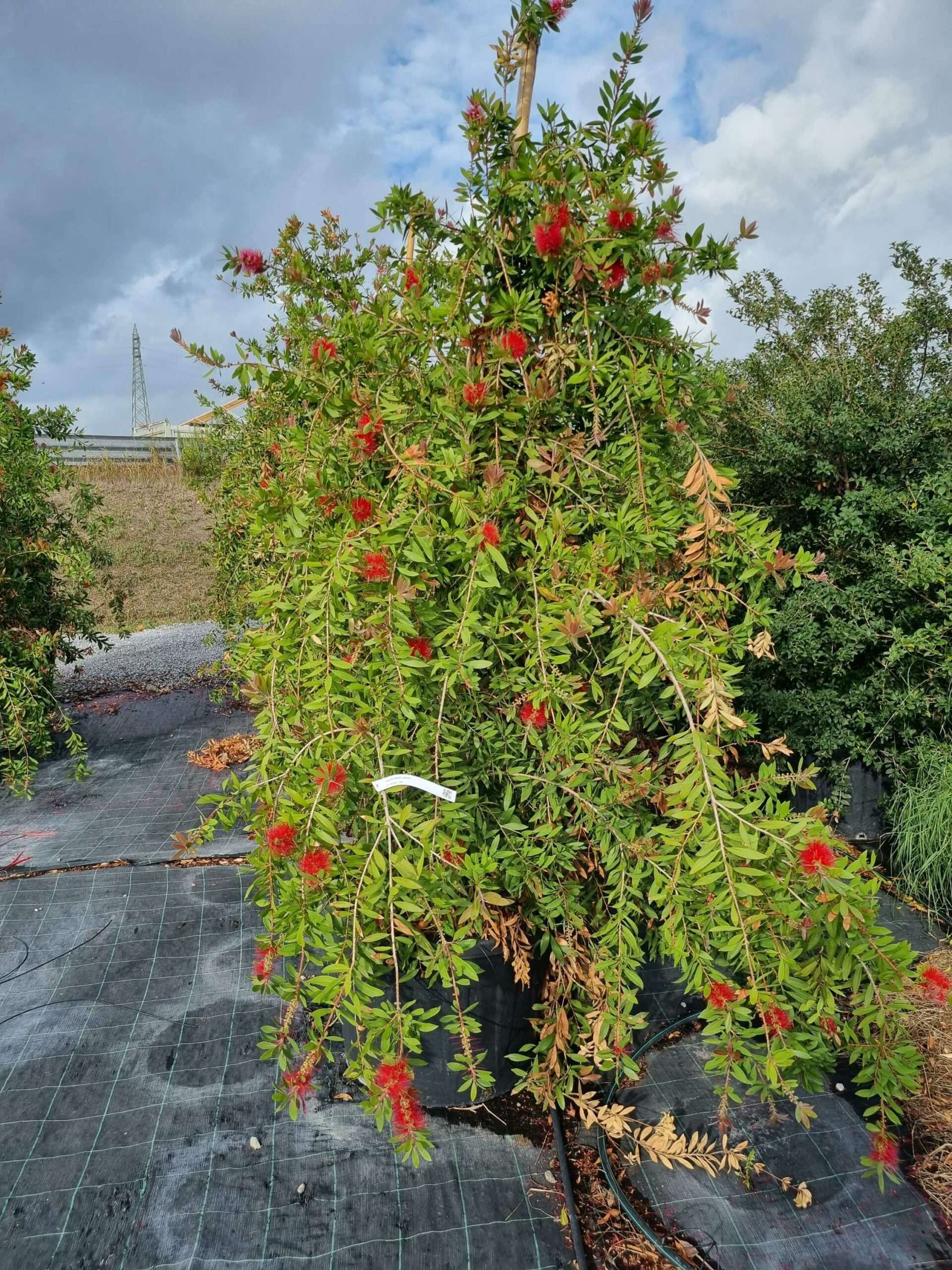 1664437491 scaled 427127fa