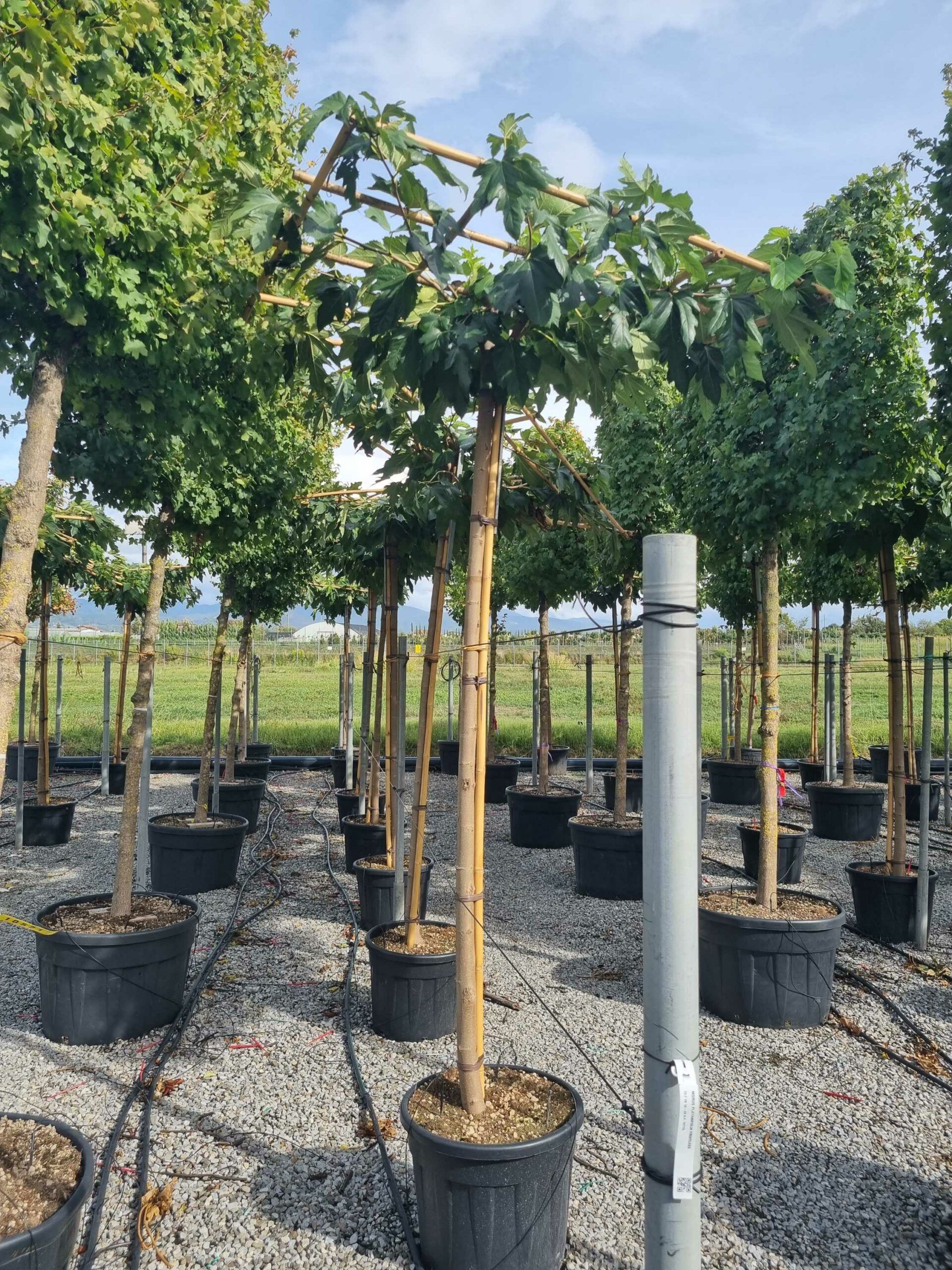 1664458304 scaled 42e575f8