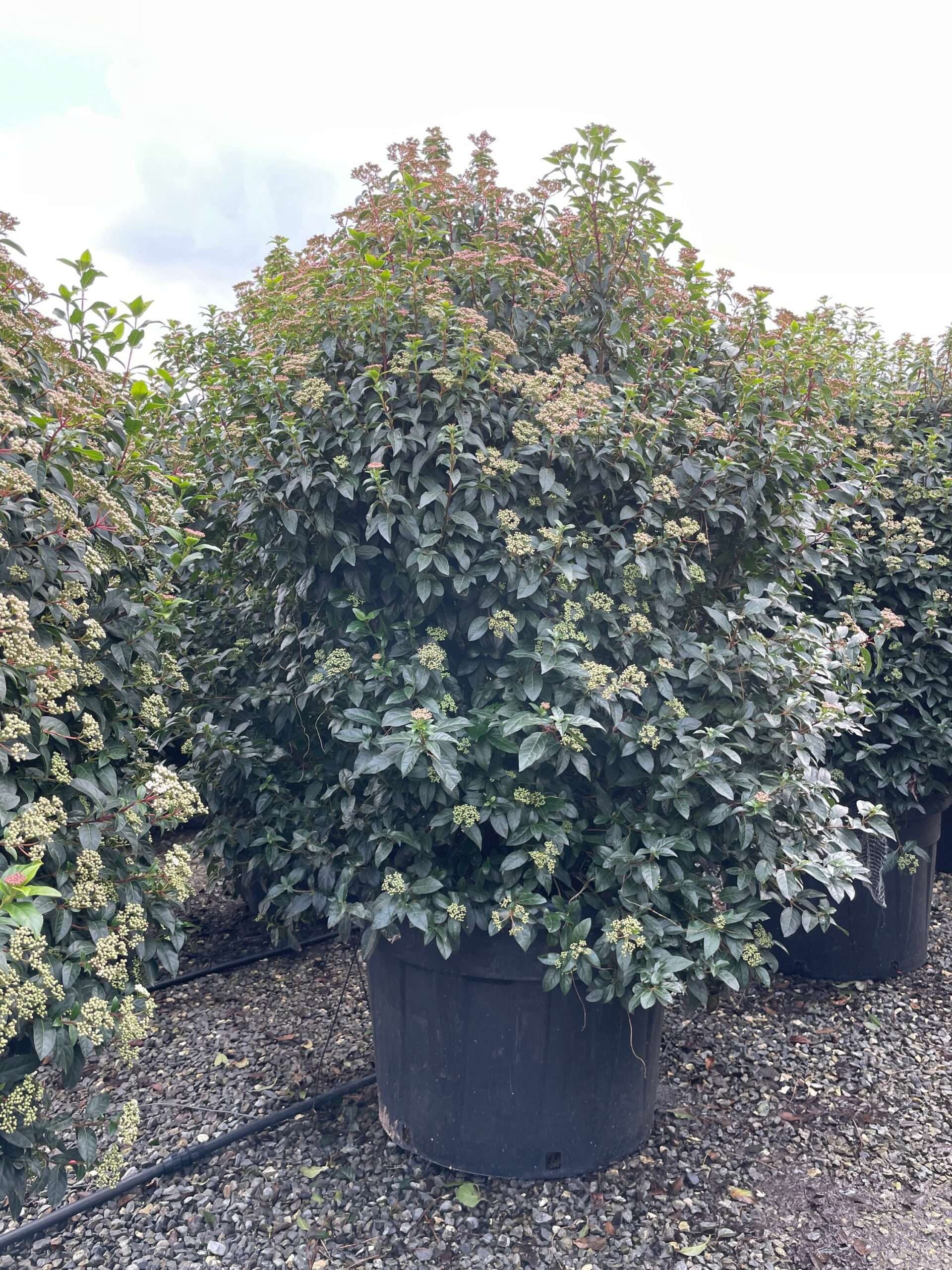 1672741144 scaled 42c5537a