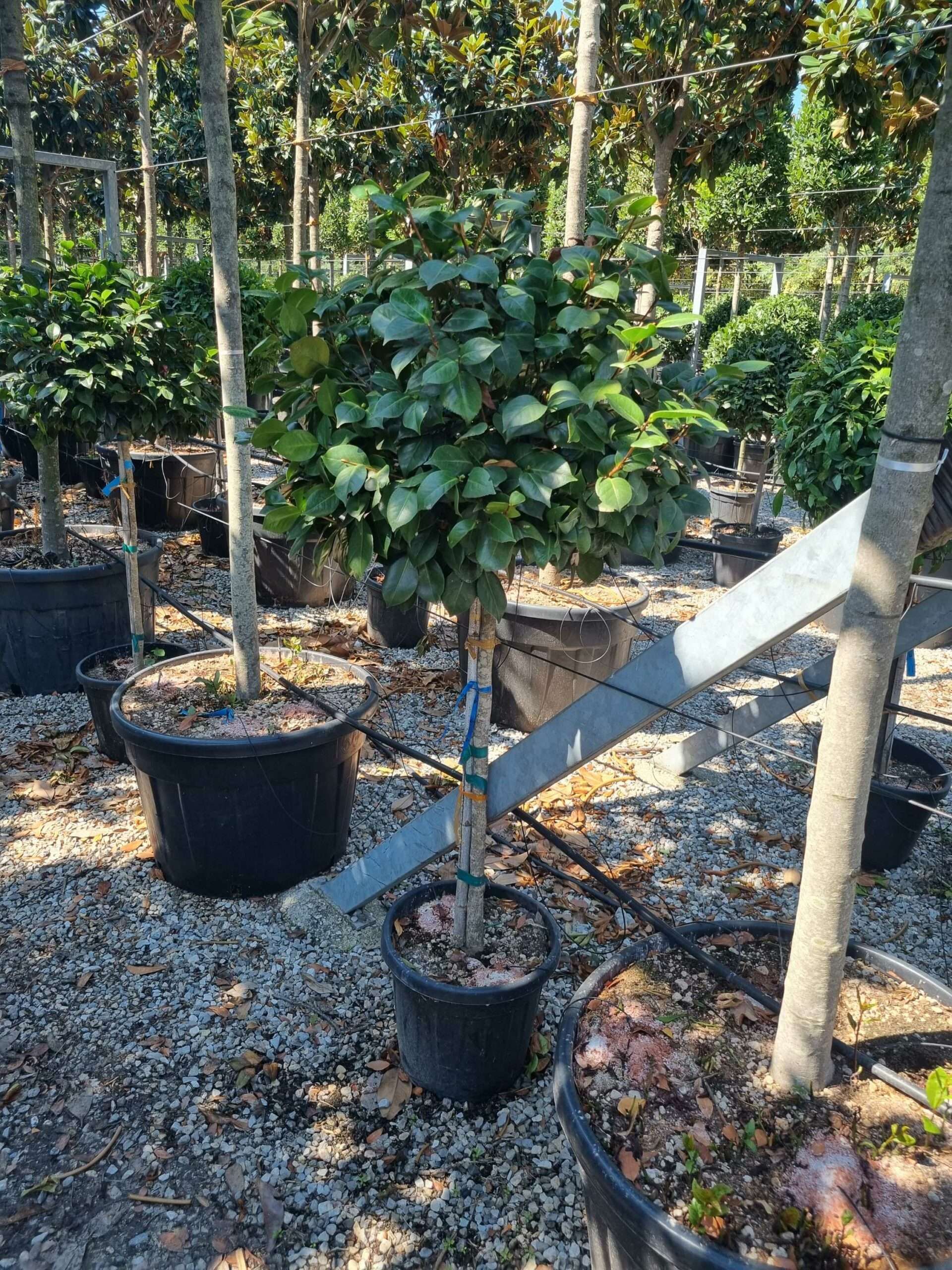 1692609383 scaled 424e22e2