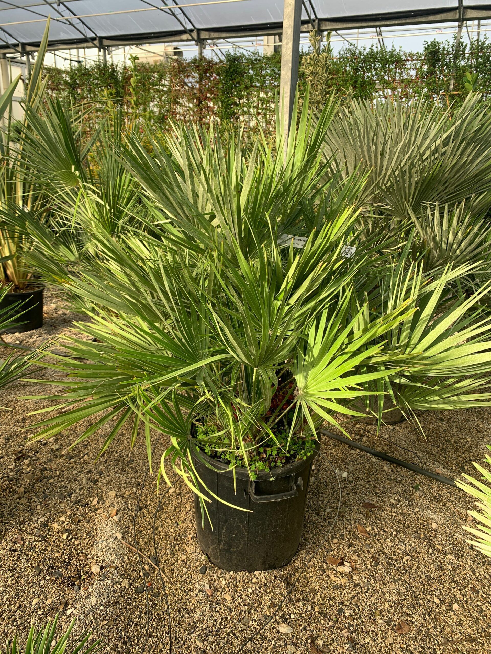 1634974485 scaled 439f16a6