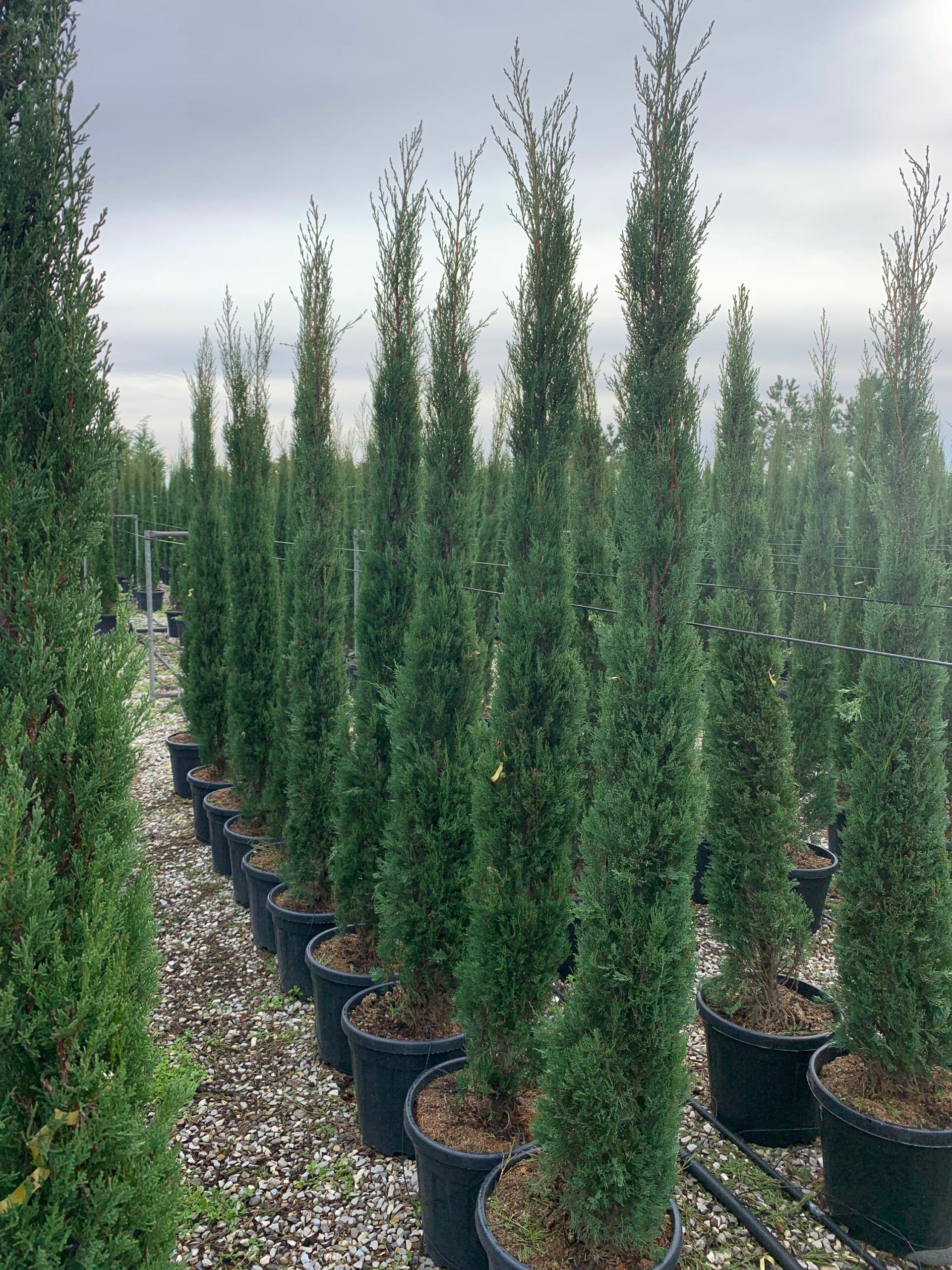 1636103099 scaled 434ebbfa