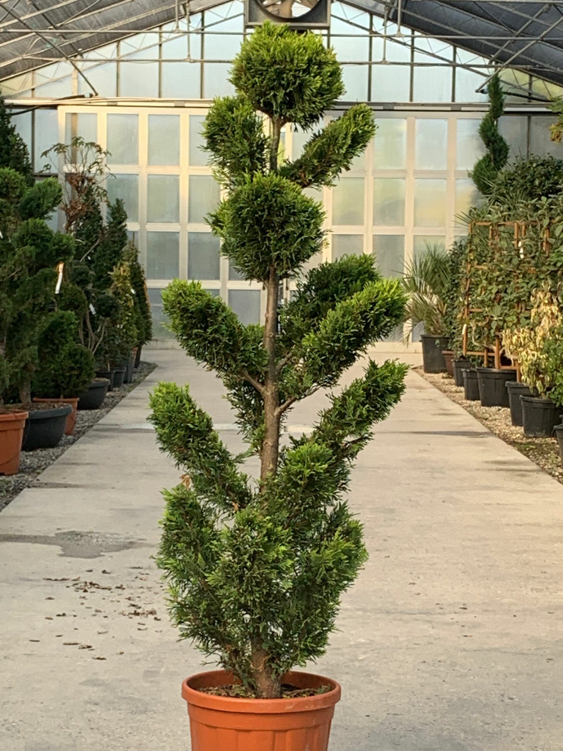 1637243132 scaled 43911c19