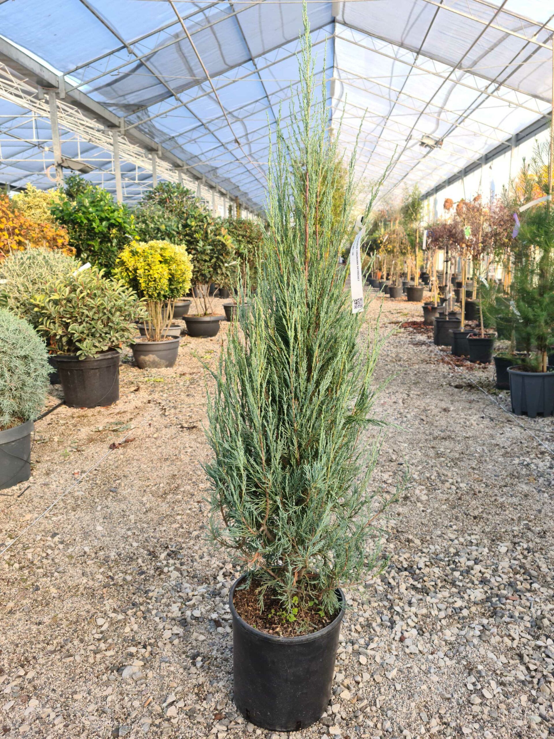 1639473231 scaled 435b1198