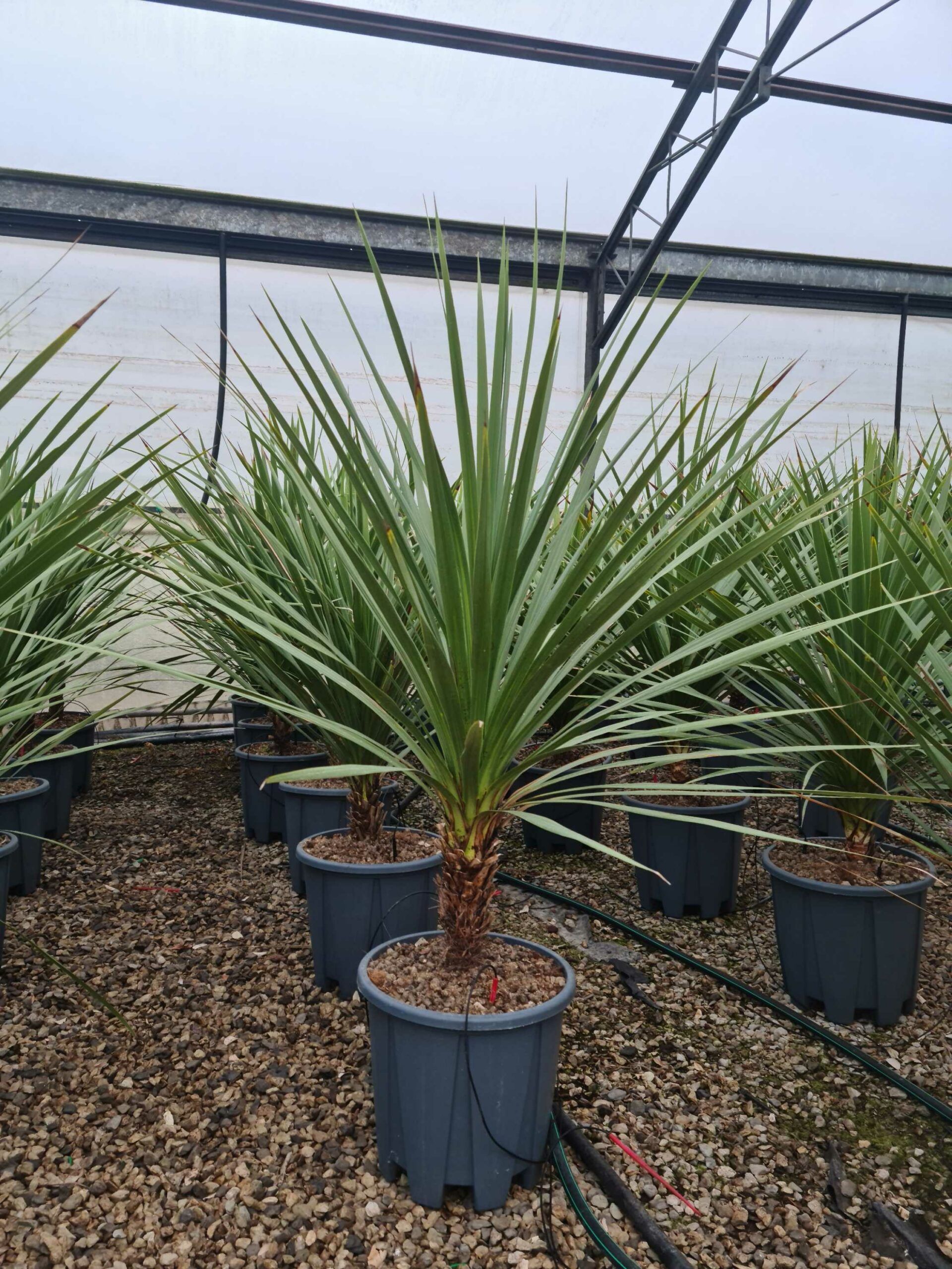 1640246620 scaled 436aa1d3