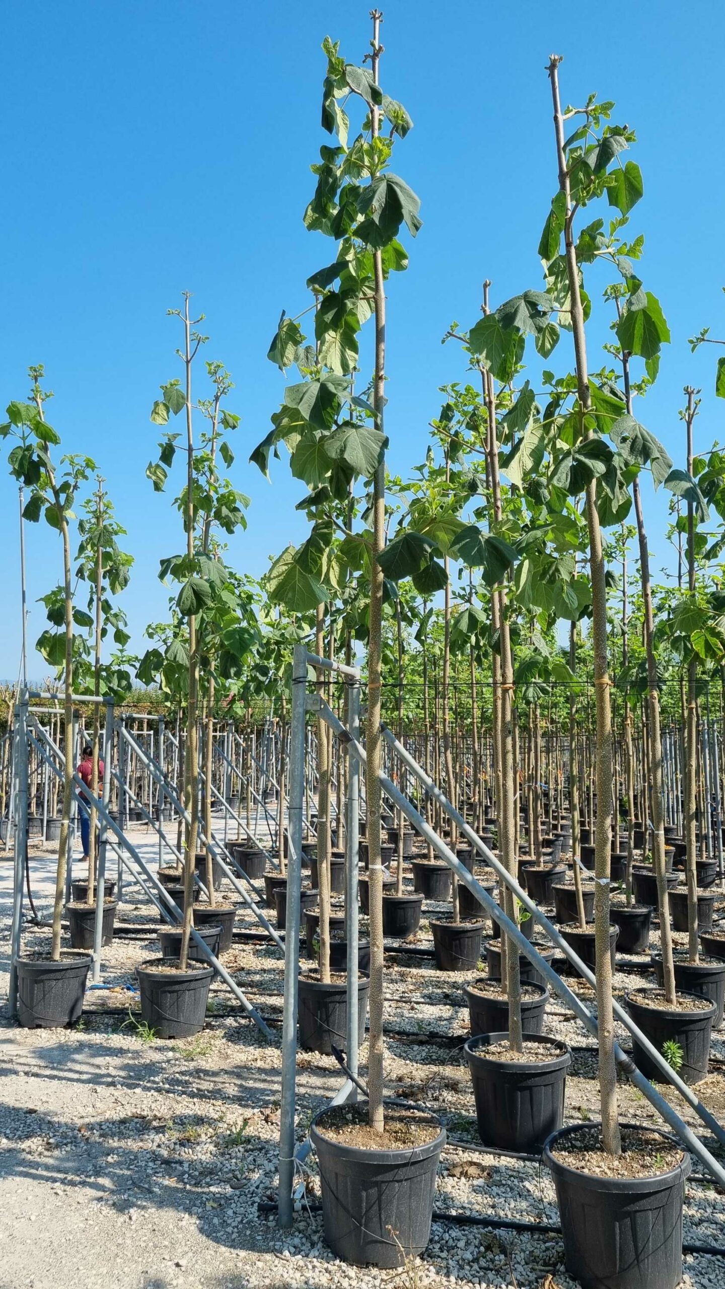 1658130174 scaled 43c072f5