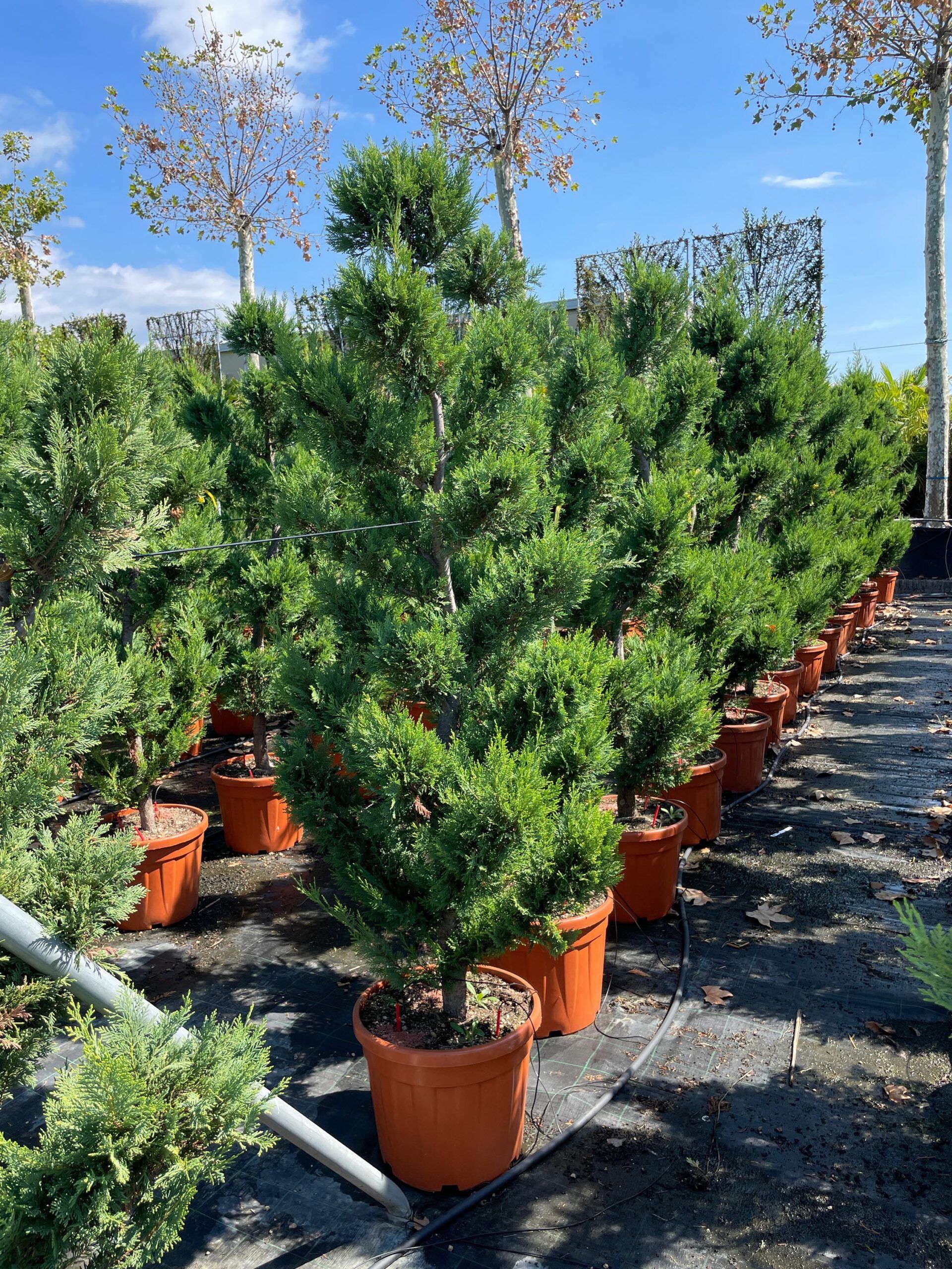 1662112768 scaled 437a2967