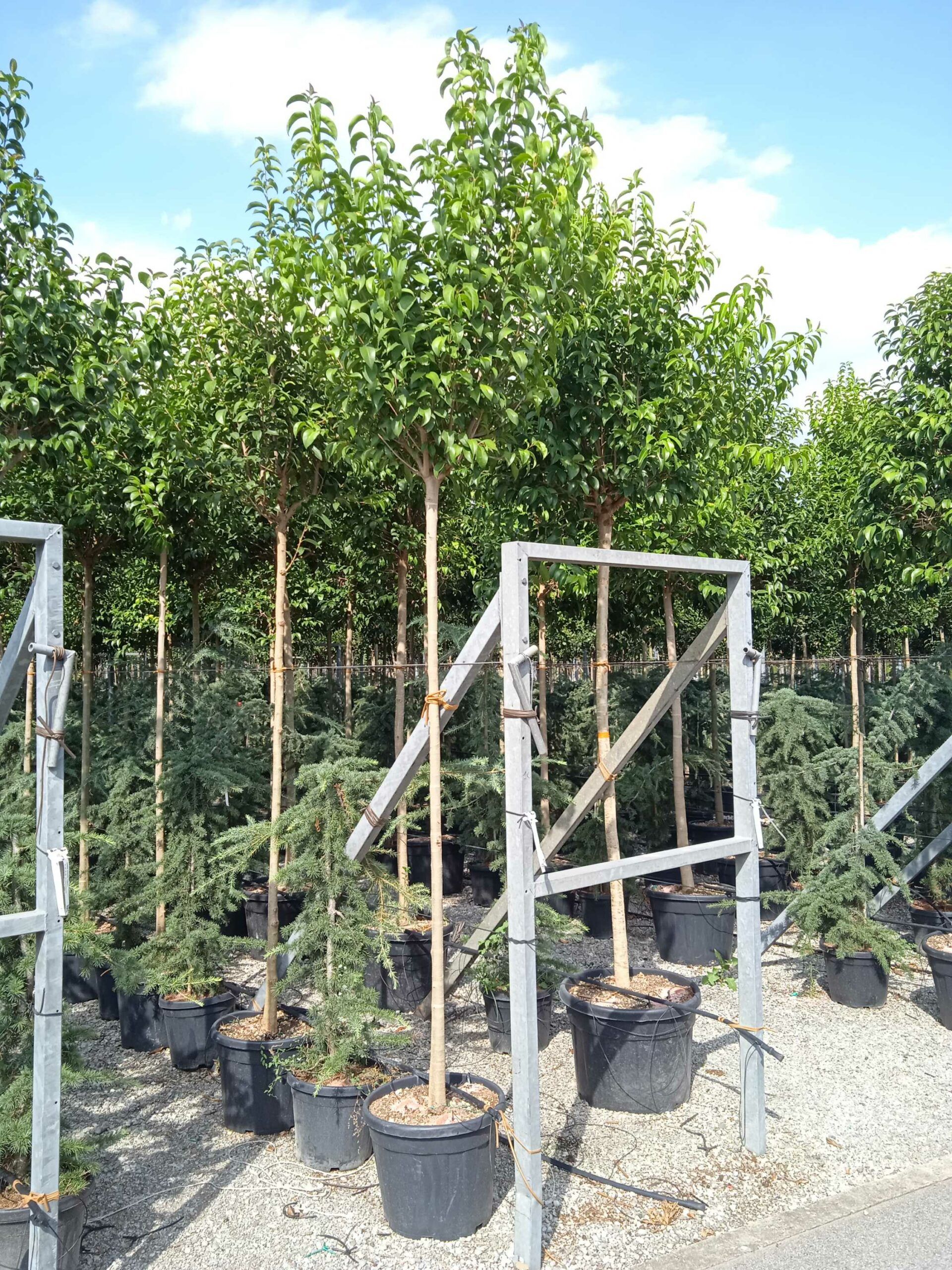 1662126301 scaled 43d8abe5