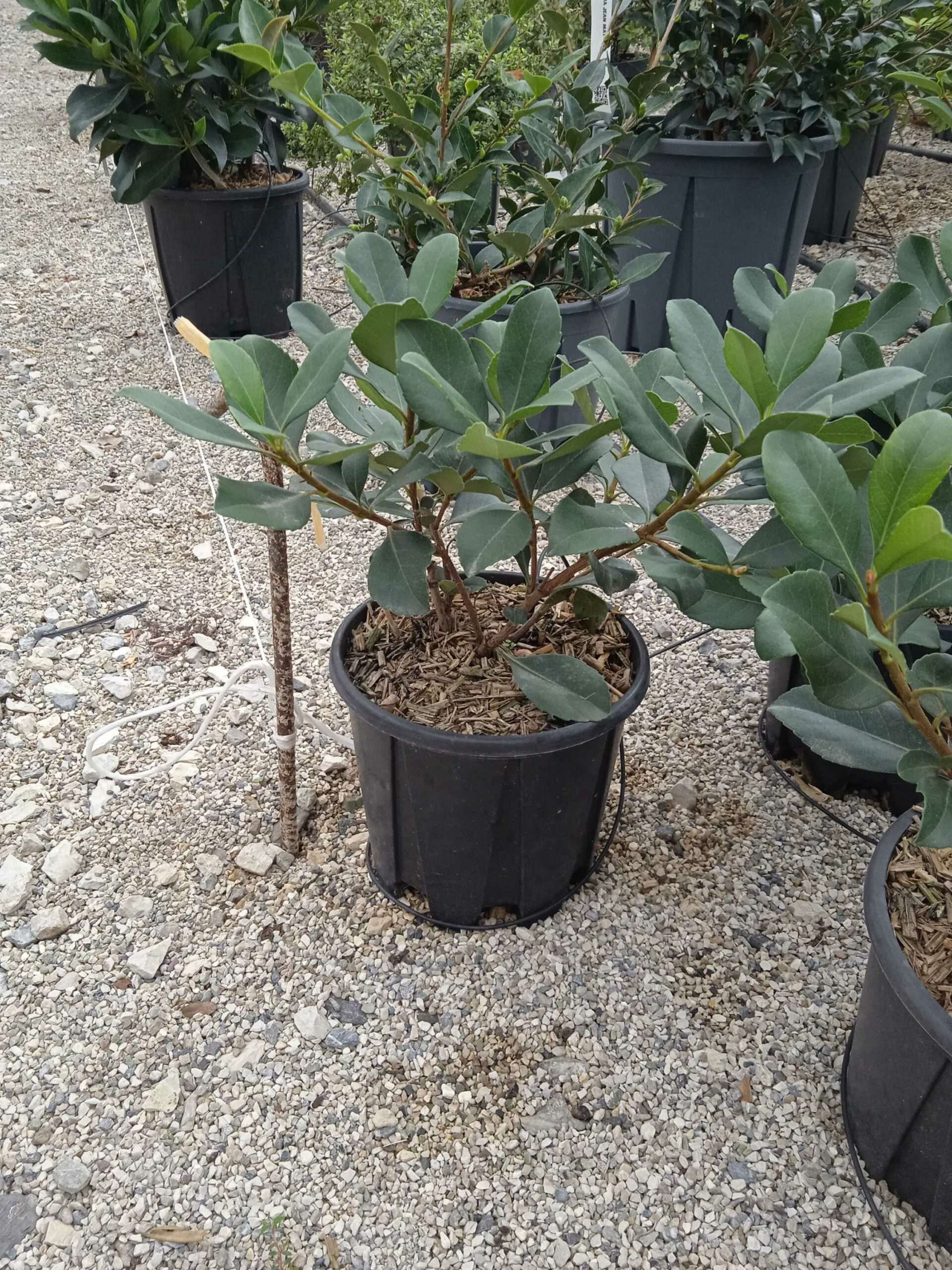 1662188576 scaled 43010706