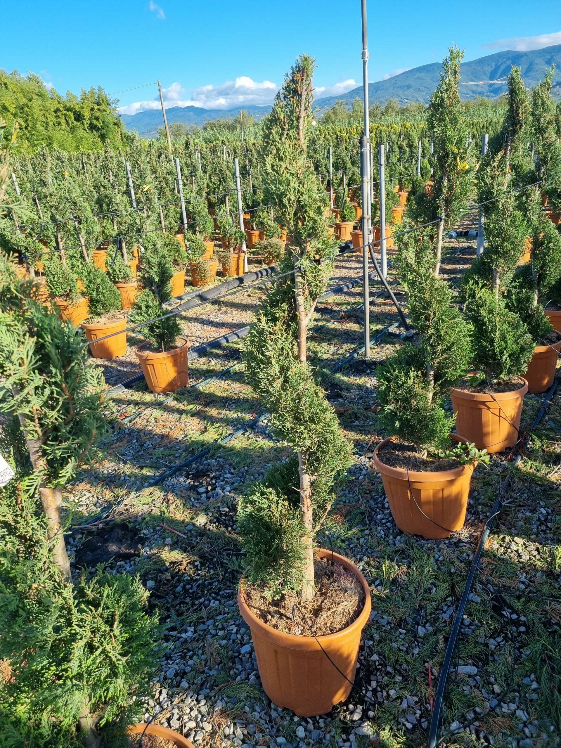 1663743949 scaled 43fb12e8