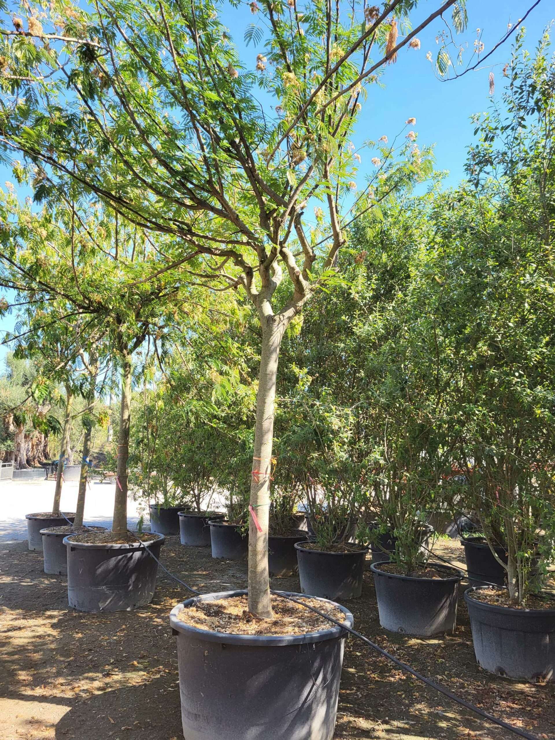 1692798454 scaled 432ee498