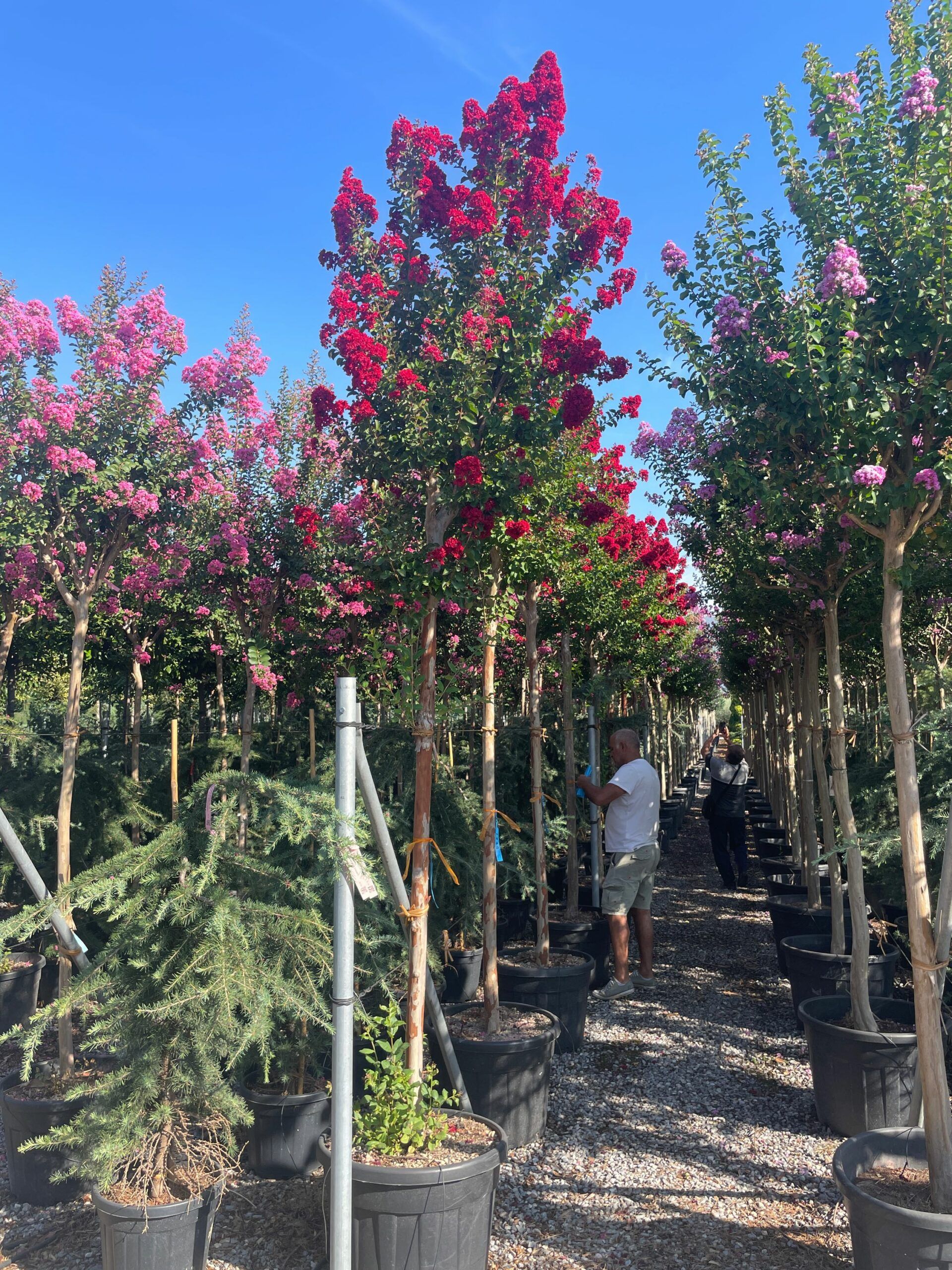 1694505533 scaled 43efcd12