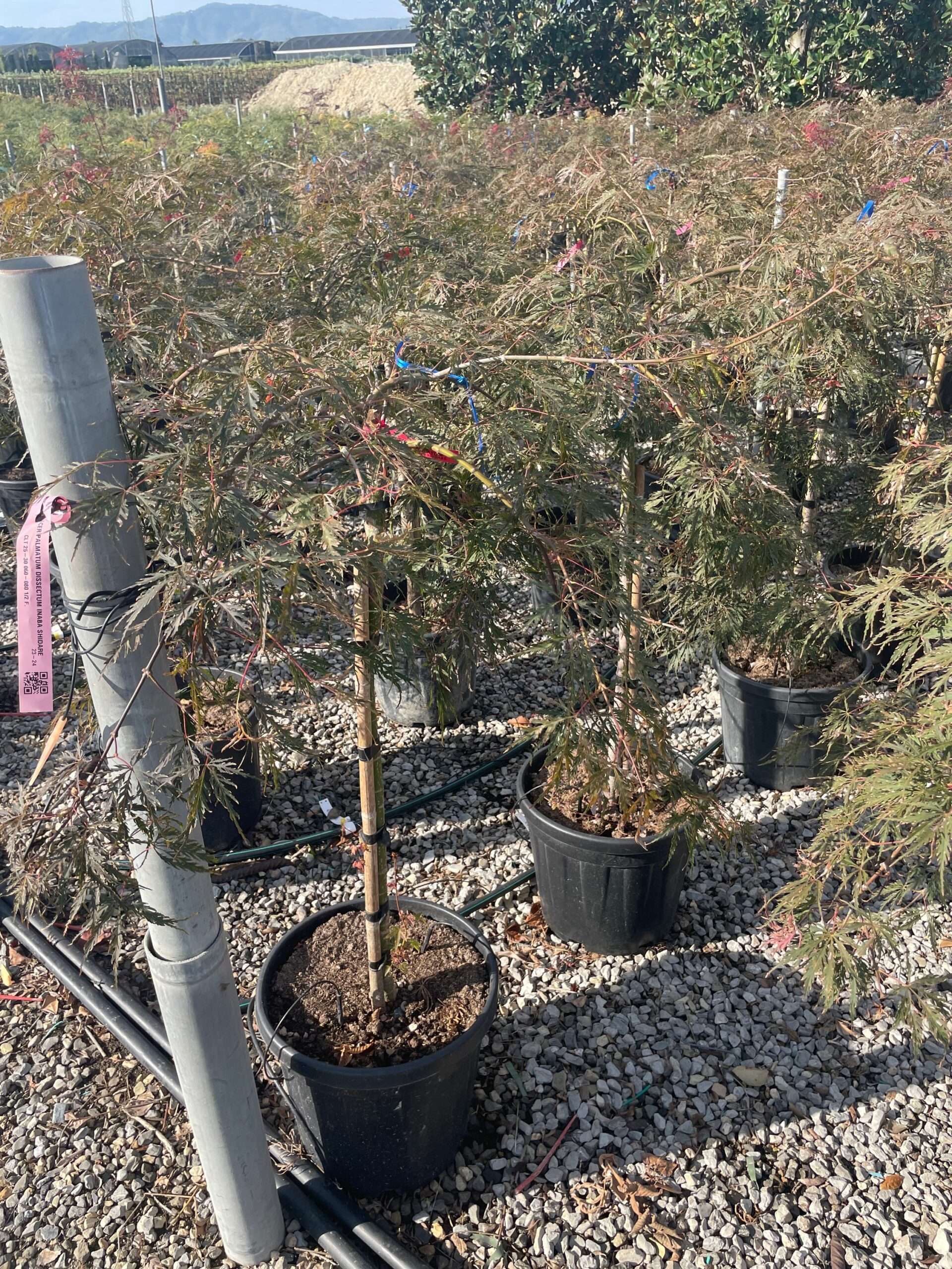 1695887842 scaled 43ef056b