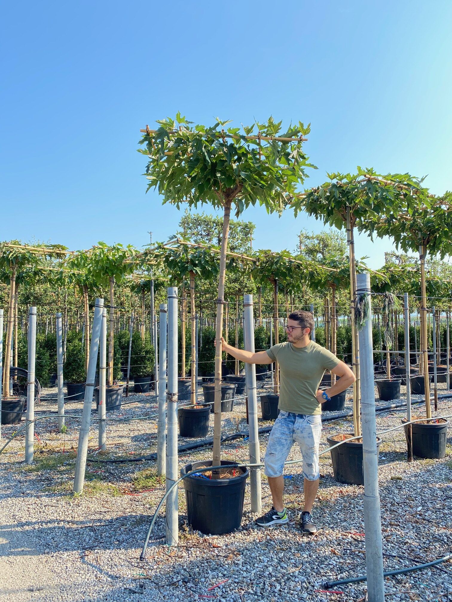 1608565499 rotated 44a8d61a