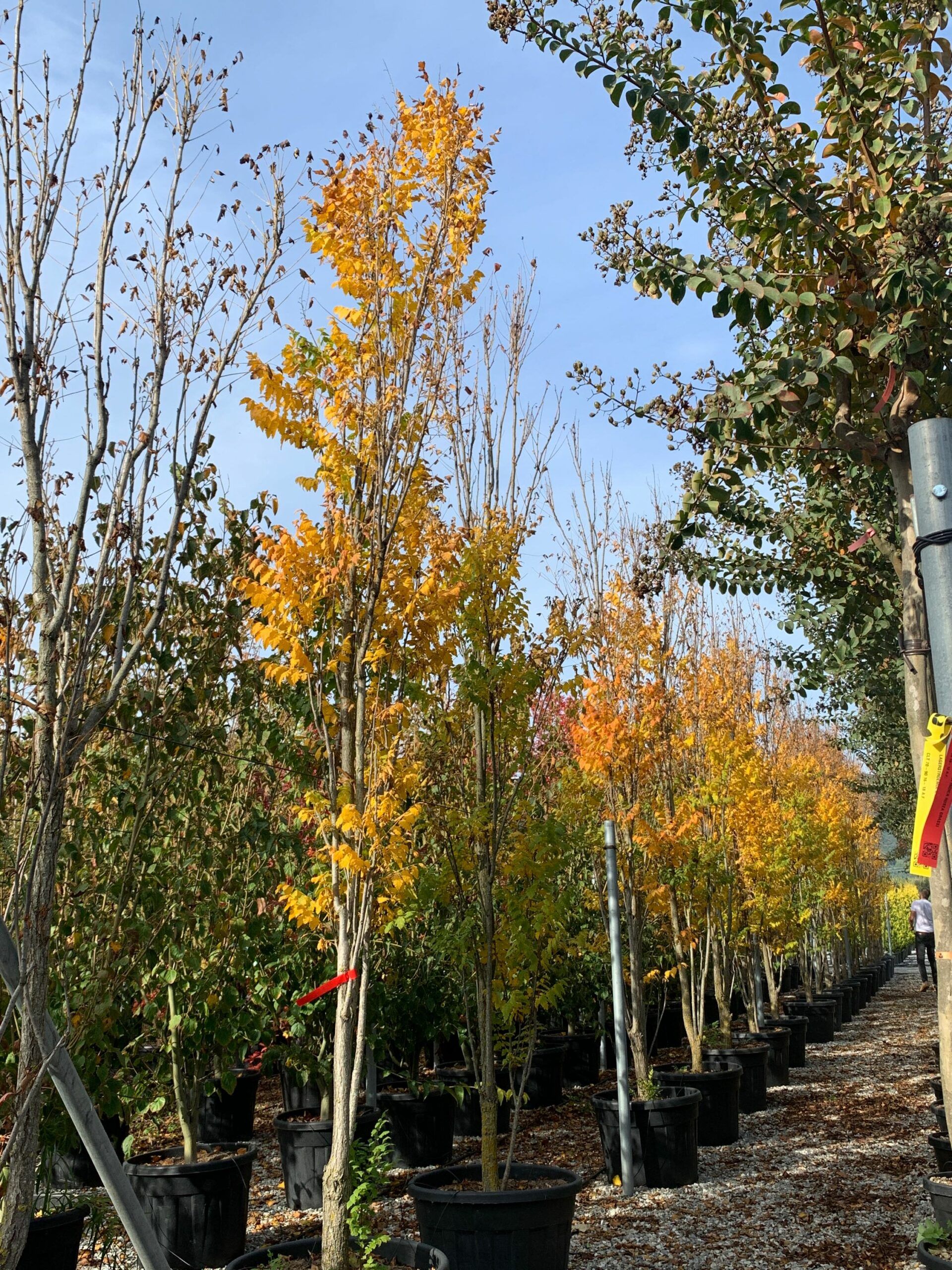 1635167805 scaled 44bd5535