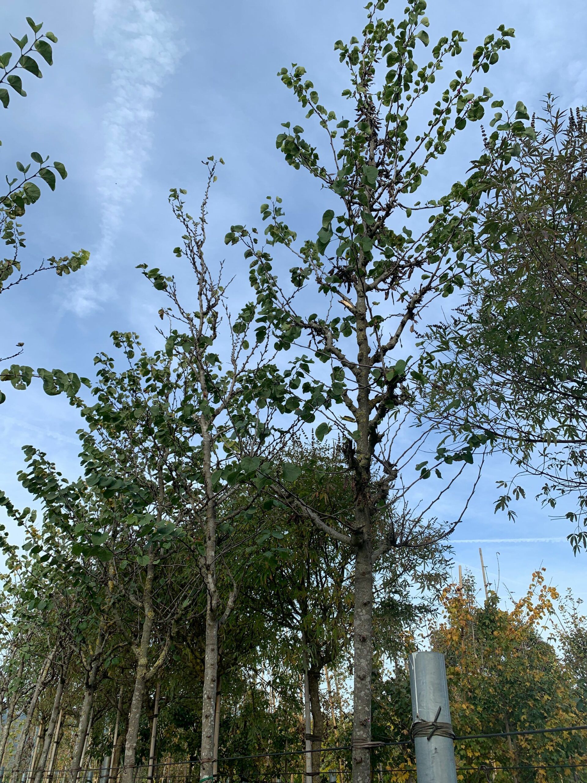 1635169890 scaled 449eb713