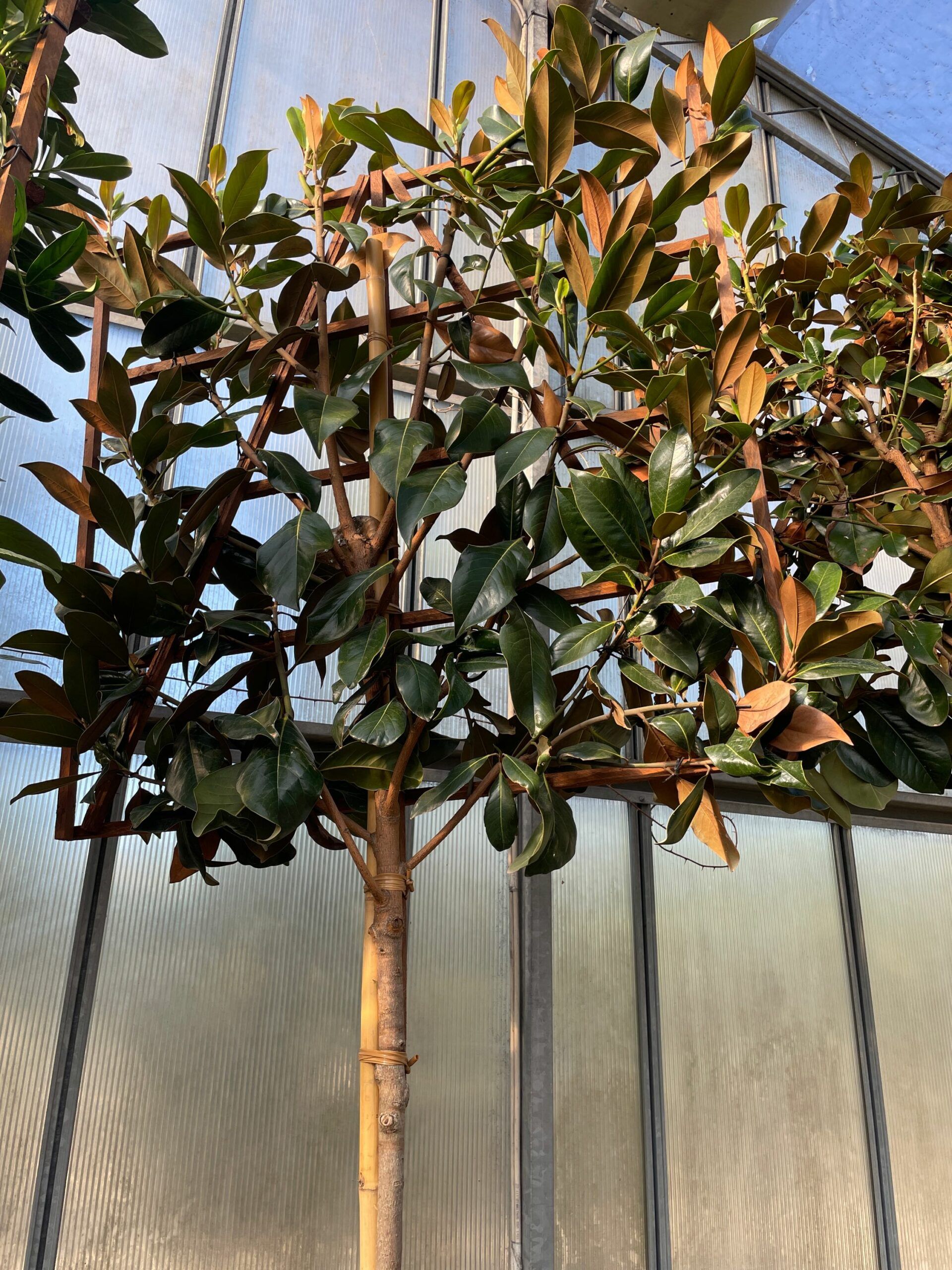 1661355967 scaled 449efe13