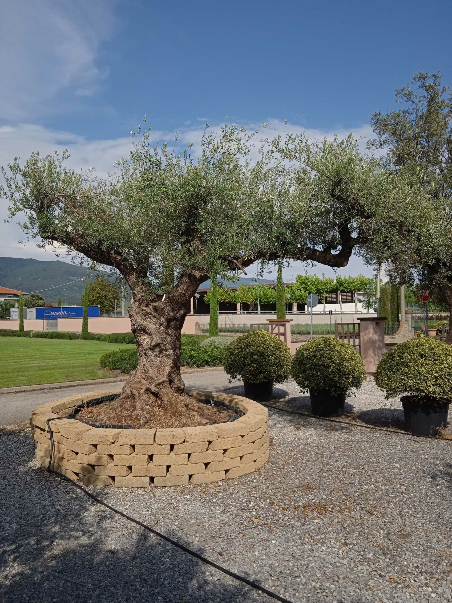 1661868242 scaled 4405eb0c