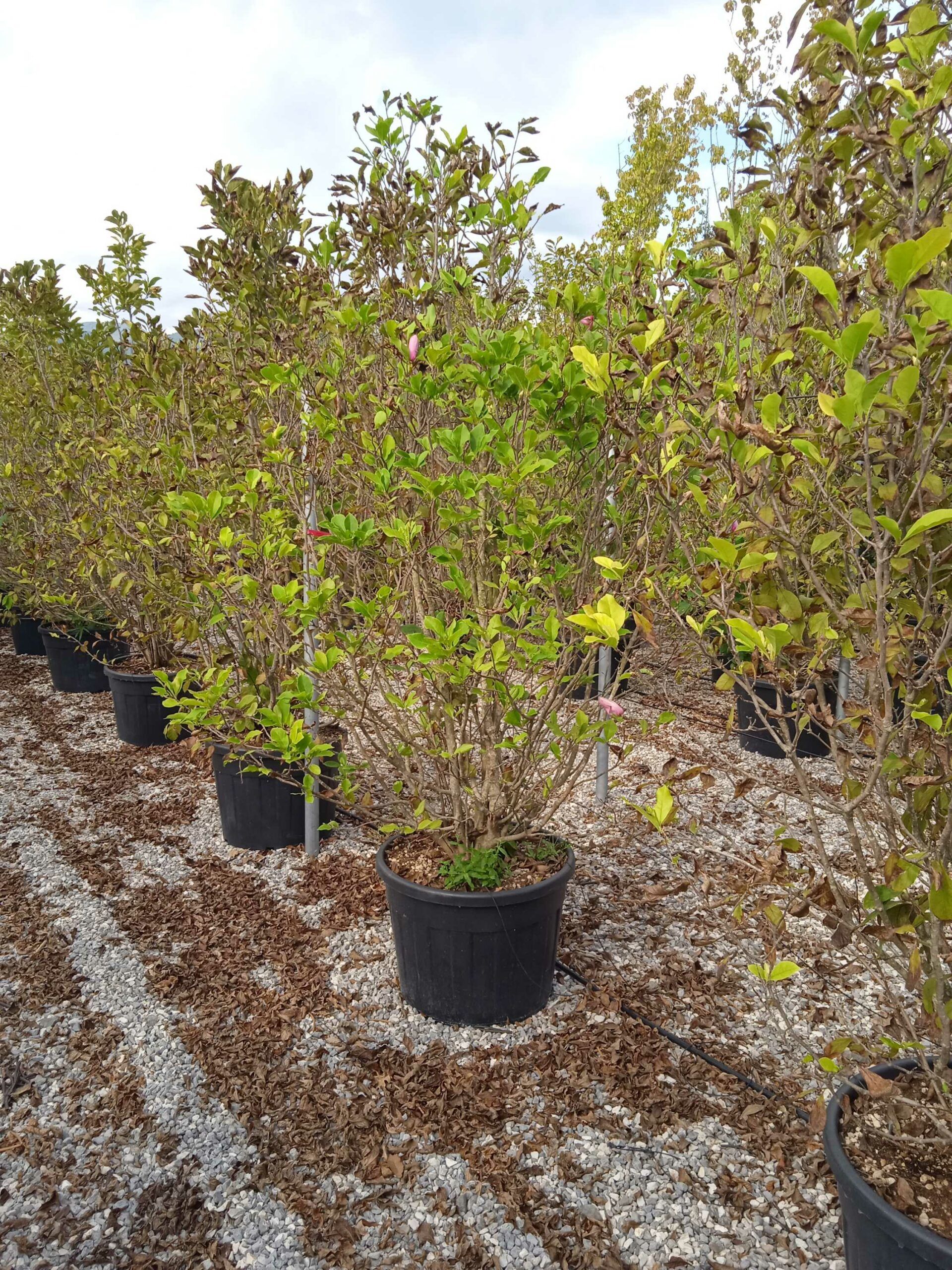 1661959034 scaled 448e73d6