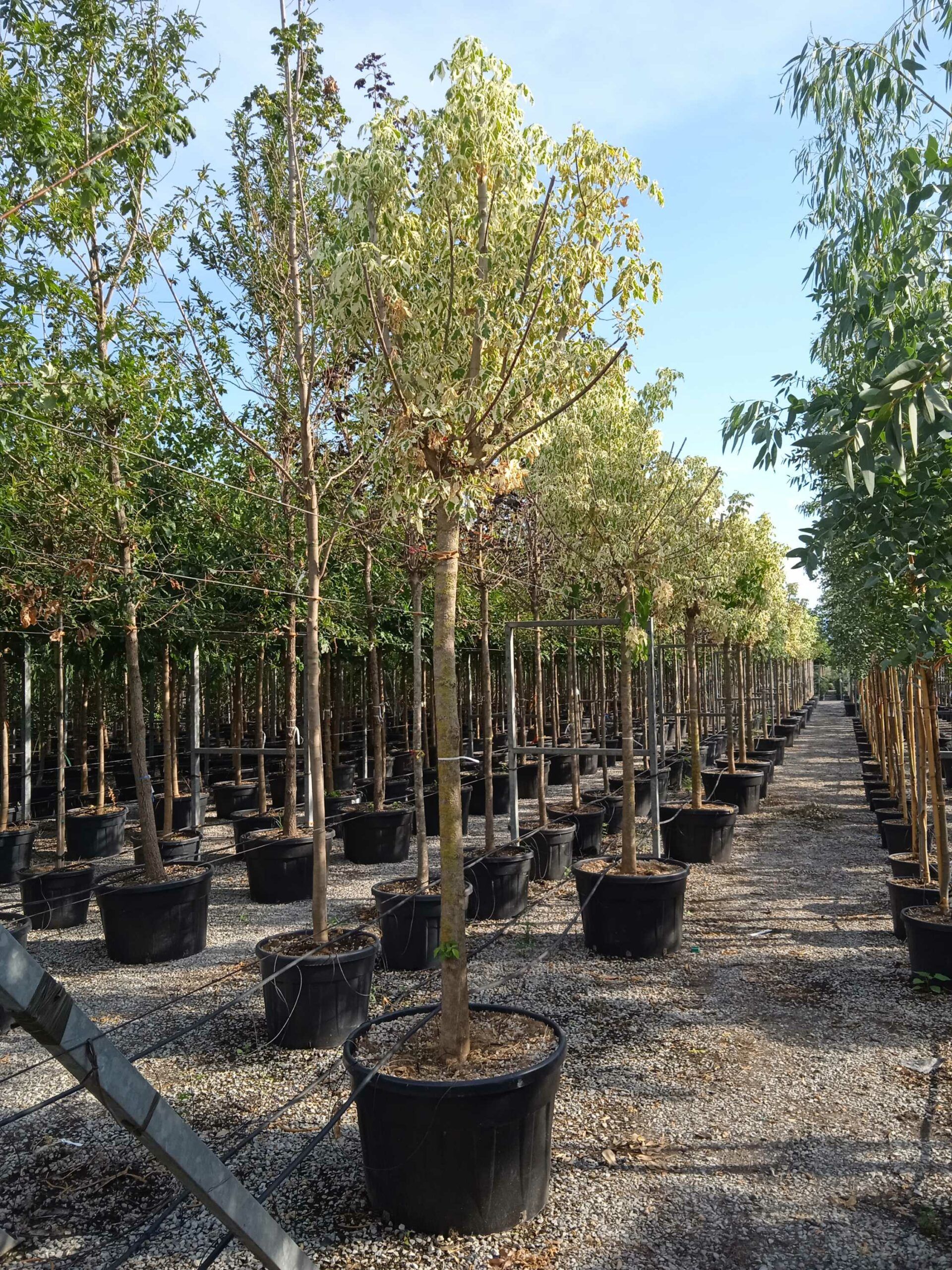 1662130967 scaled 44f7b42f