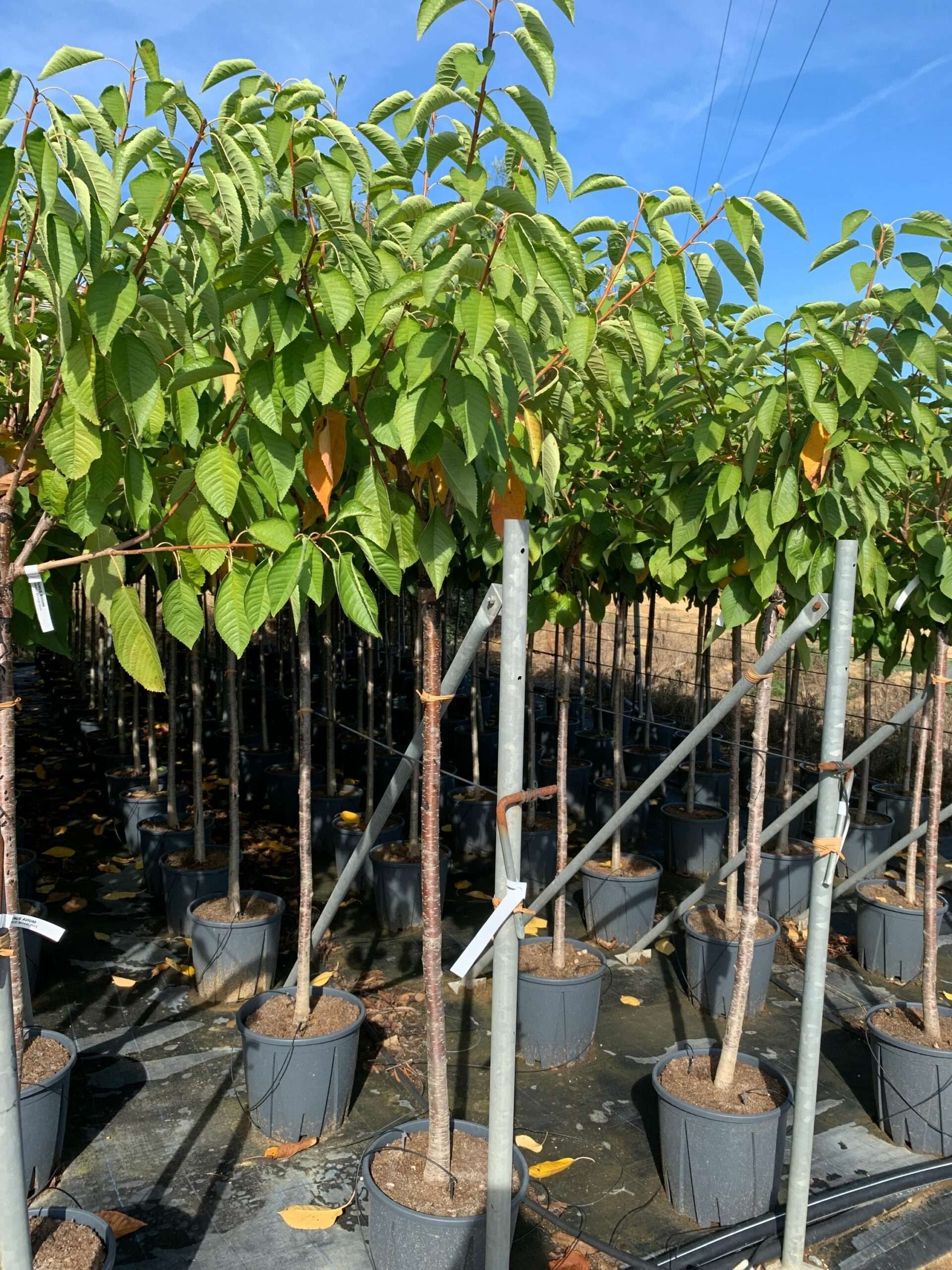 1662365123 scaled 447e876e