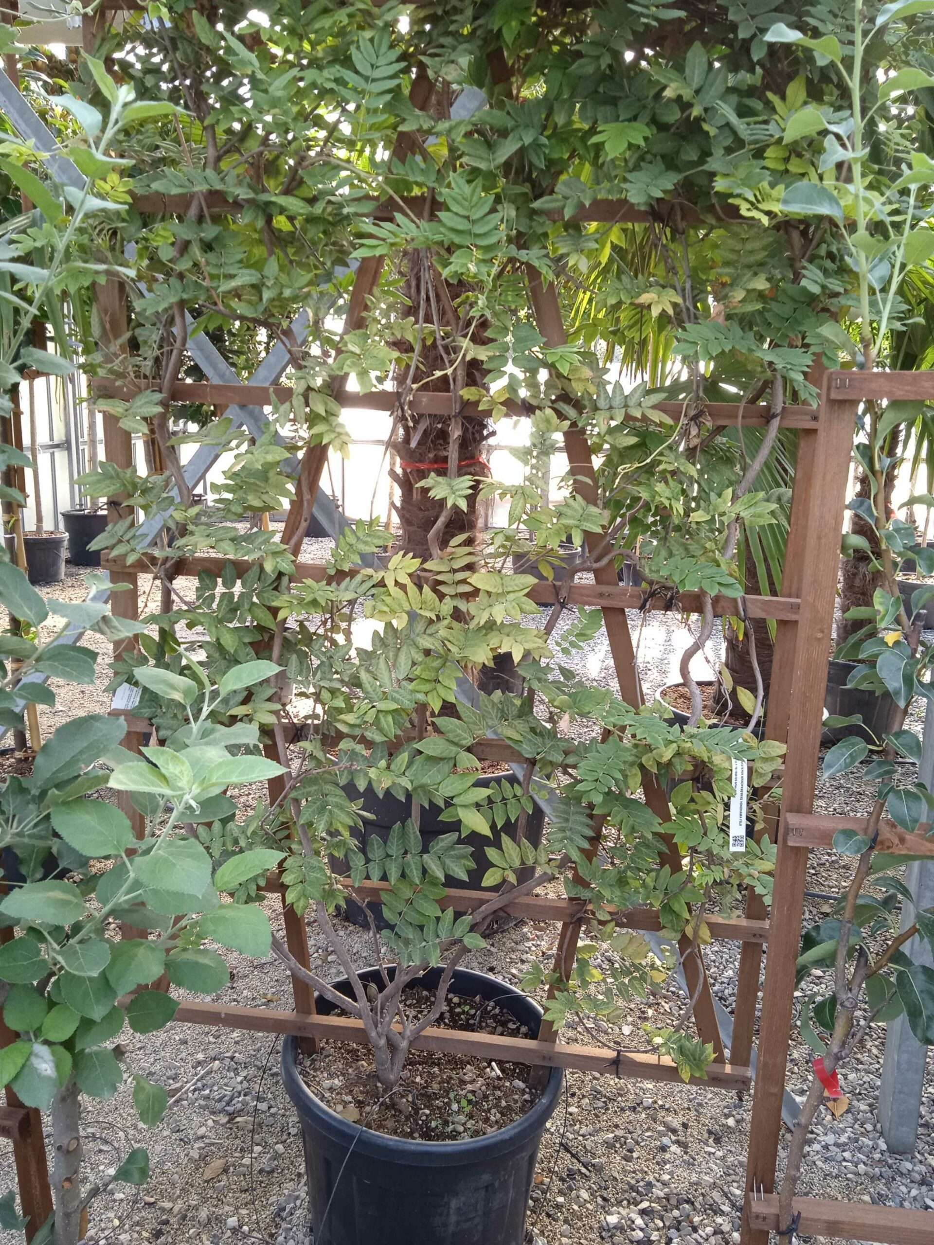 1662447485 scaled 4459e258