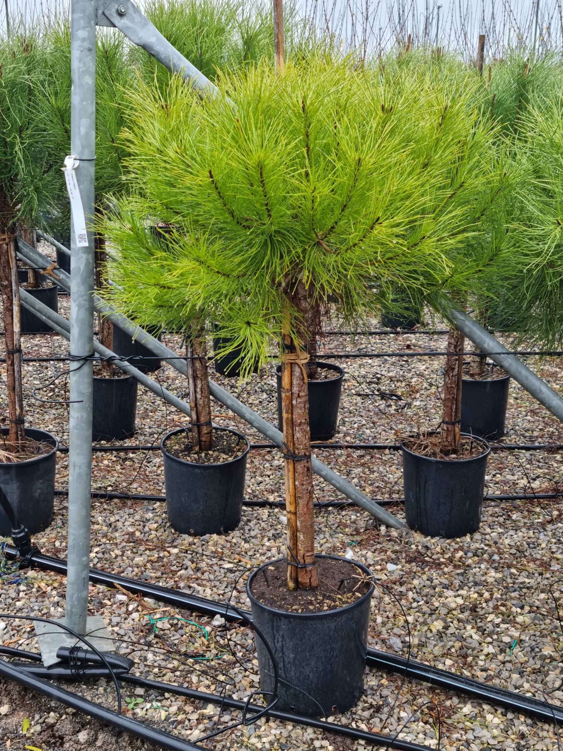 1677830131 scaled 44ac6a15