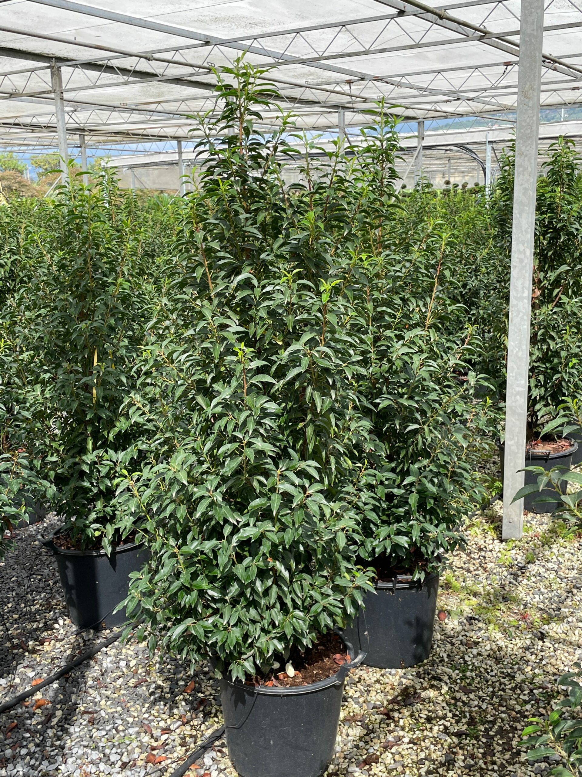 1631958828 scaled 45579c72