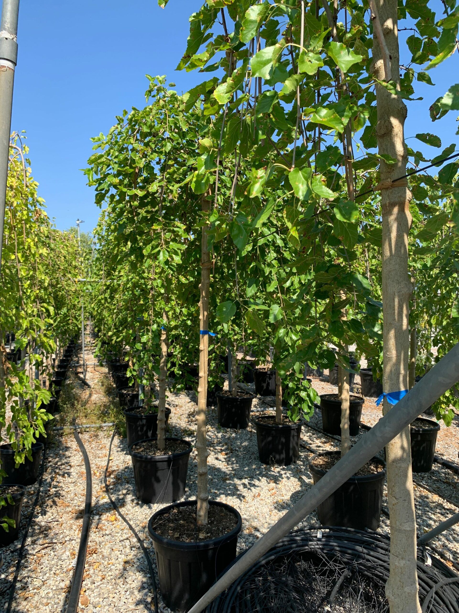 1658132664 scaled 45848857