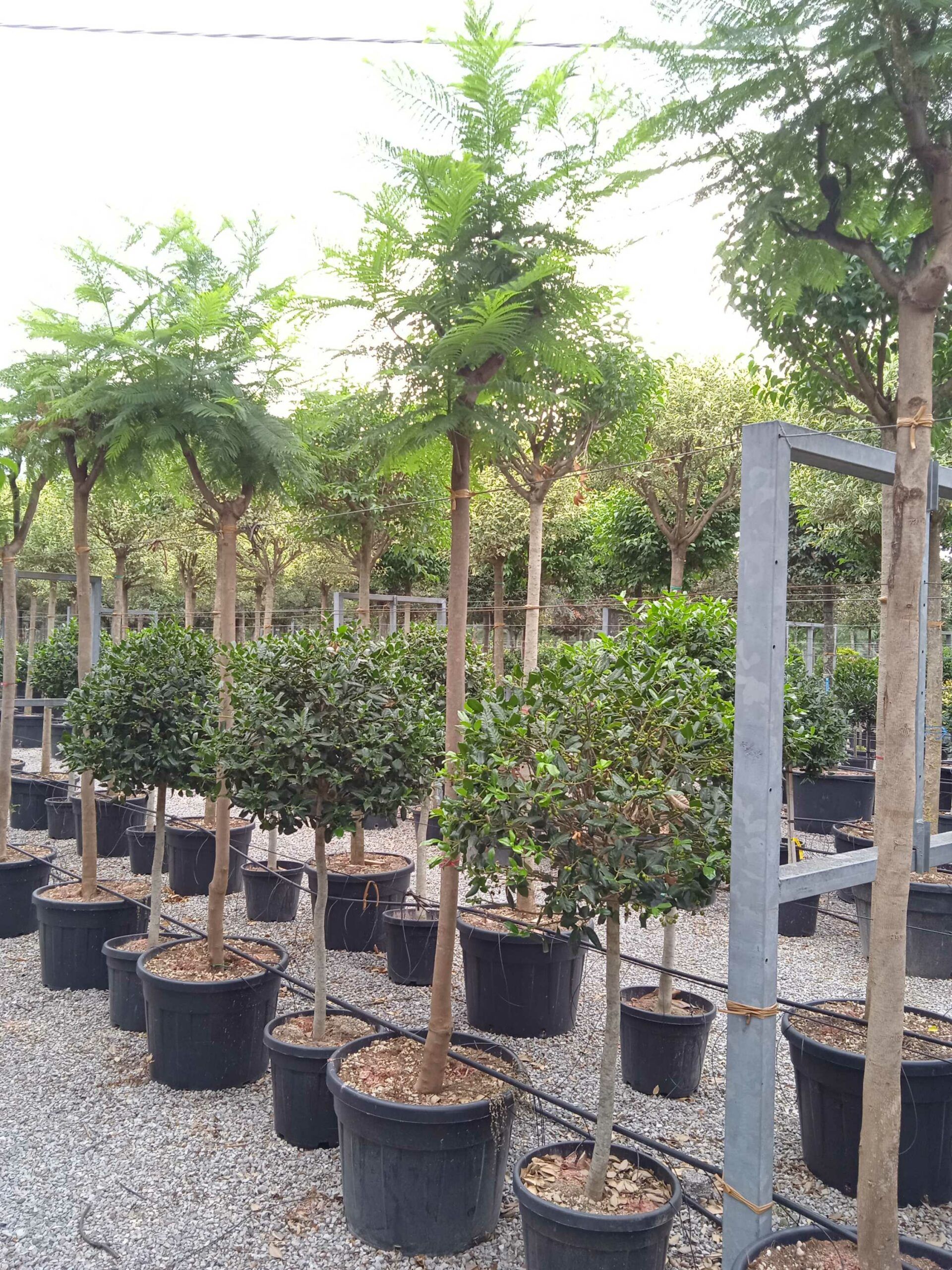 1661871137 scaled 4540a0eb