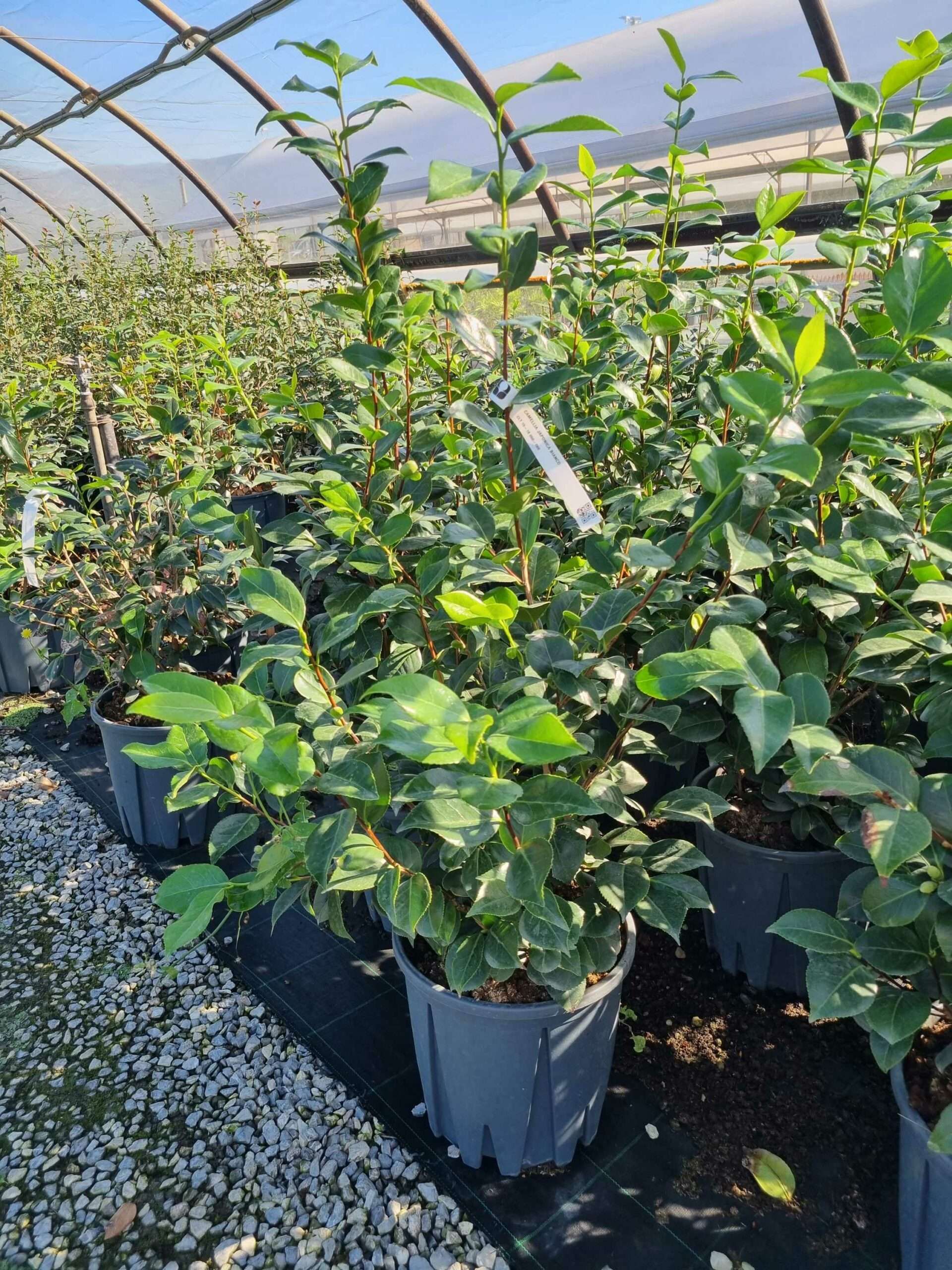 1663573903 scaled 4502a184