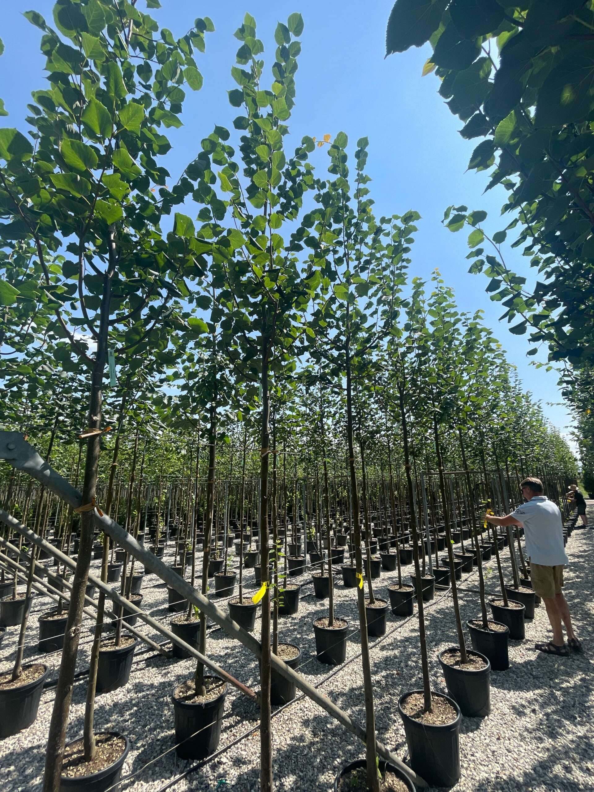 1688634438 scaled 454b7f01