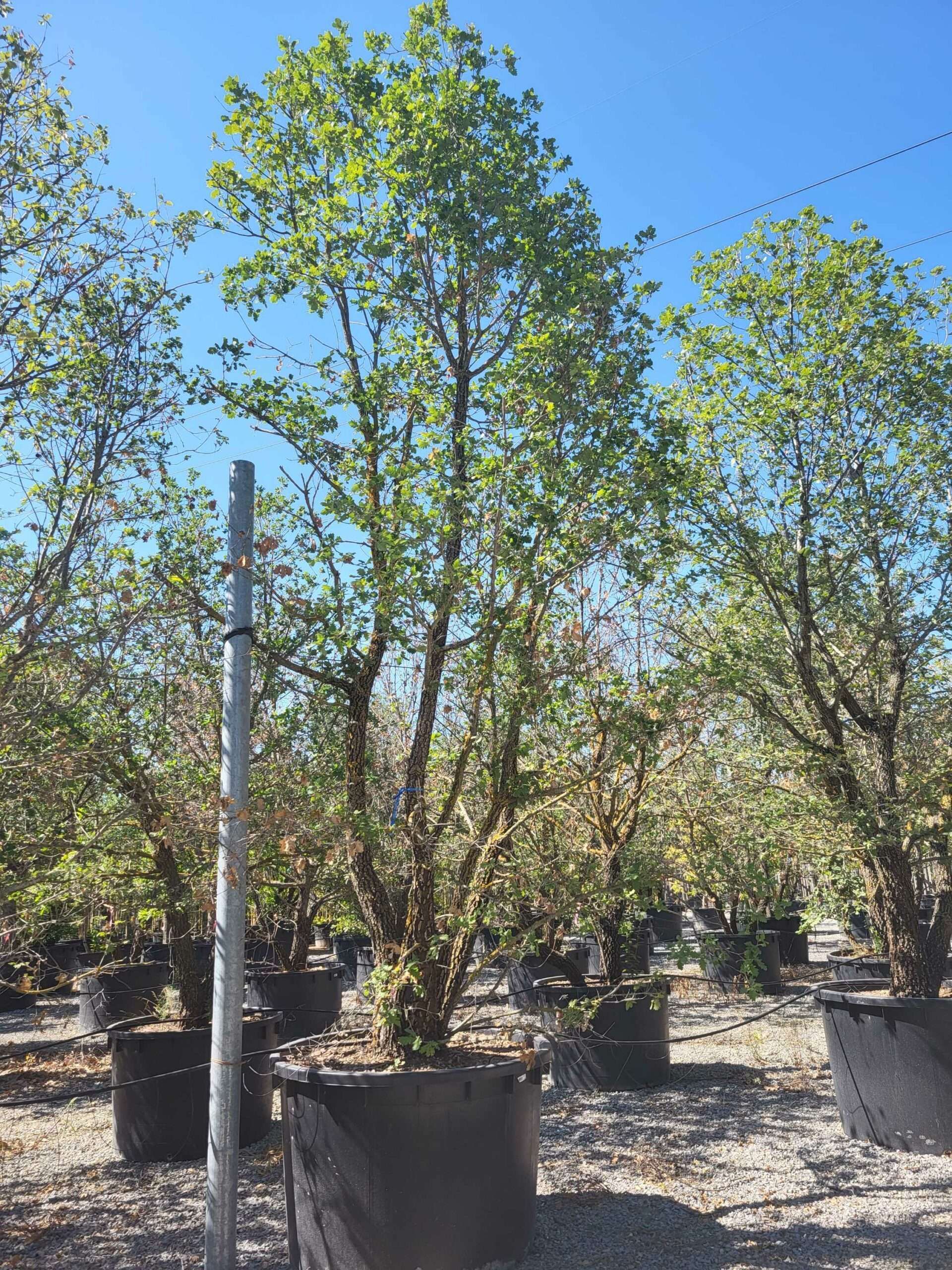 1692711176 scaled 4510d01c