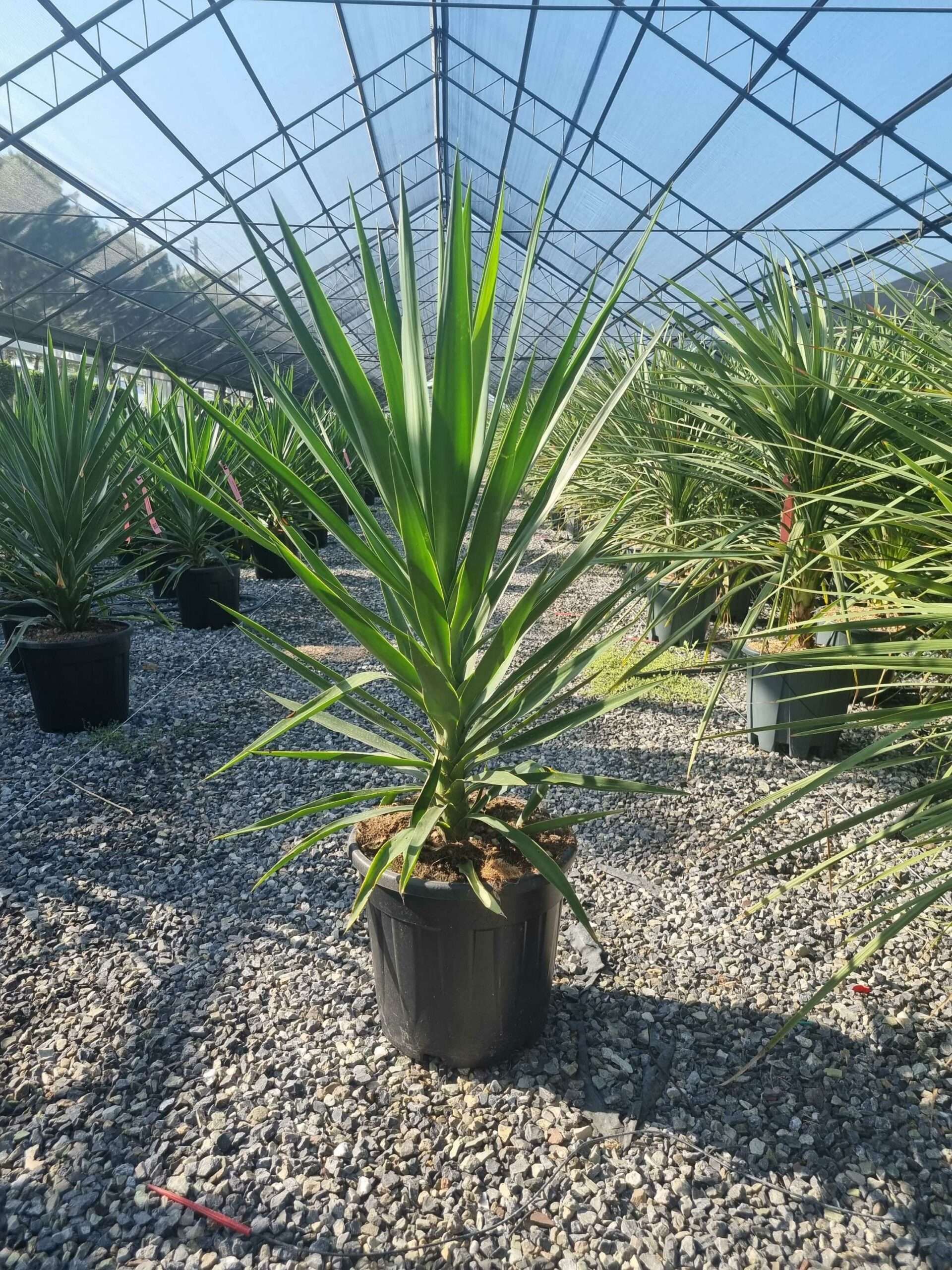 1692949122 scaled 456e5eb5